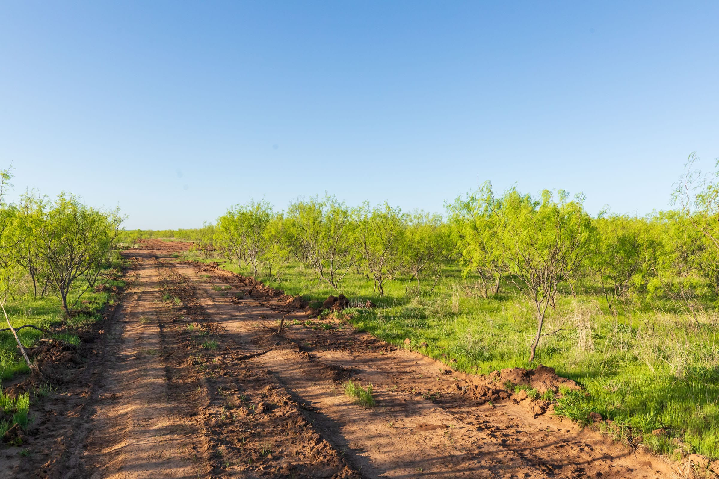 Hackberry Fields Tract 15 photo 17