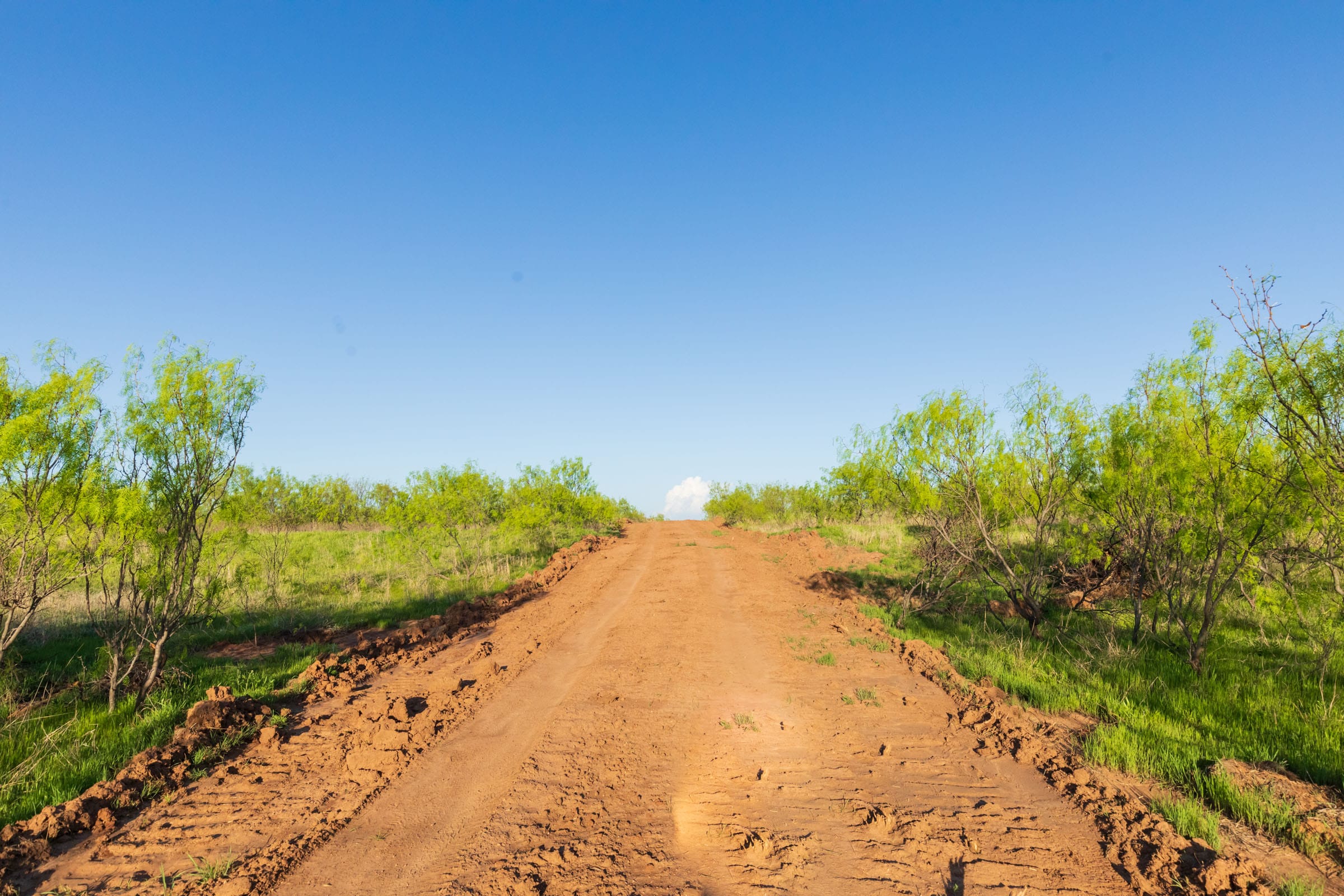 Hackberry Fields Tract 15 photo 18