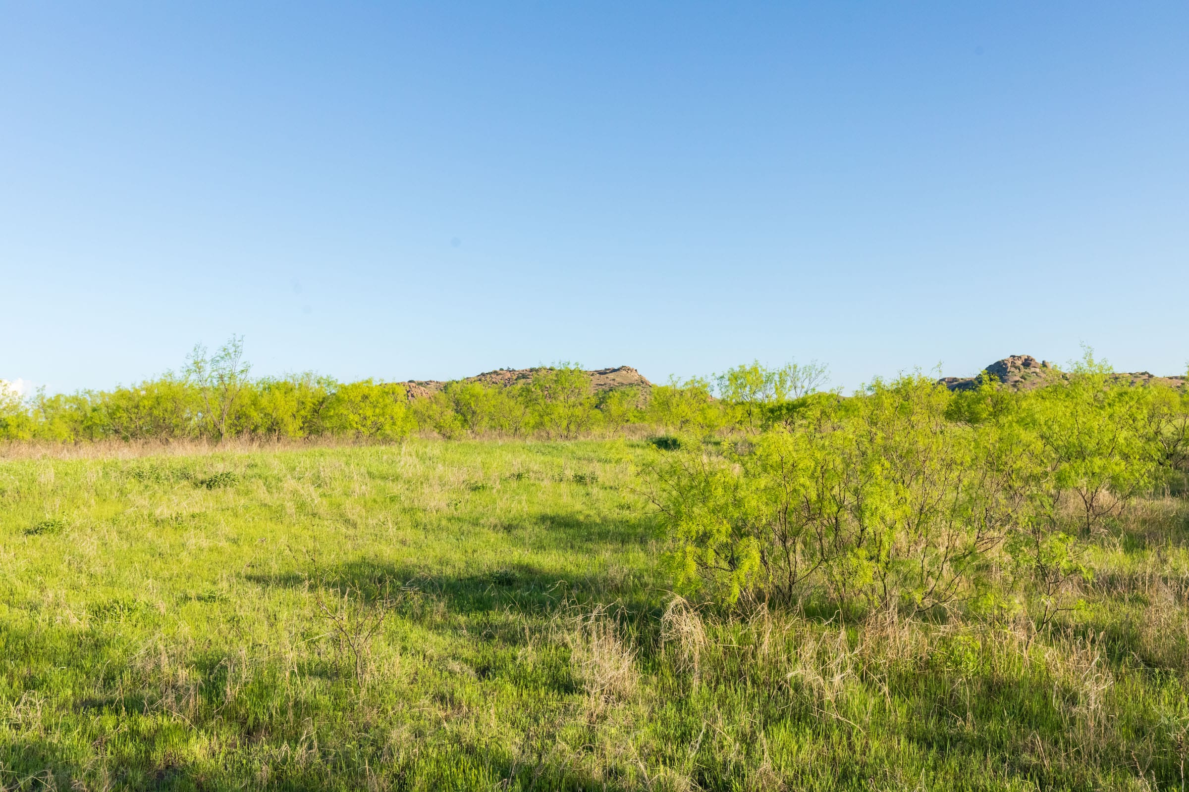 Hackberry Fields Tract 15 photo 19
