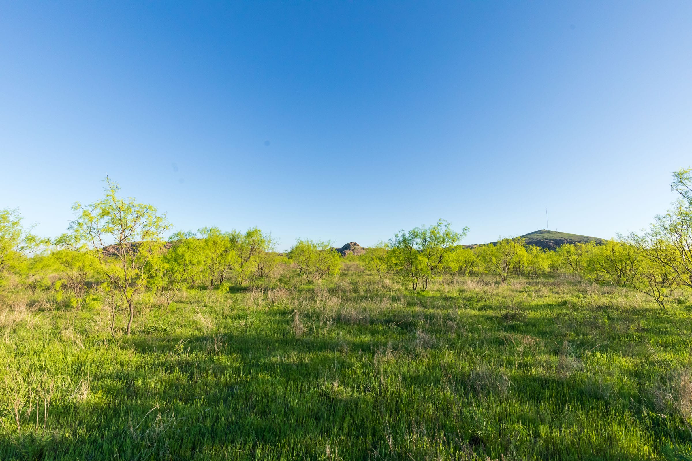 Hackberry Fields Tract 15 photo 21