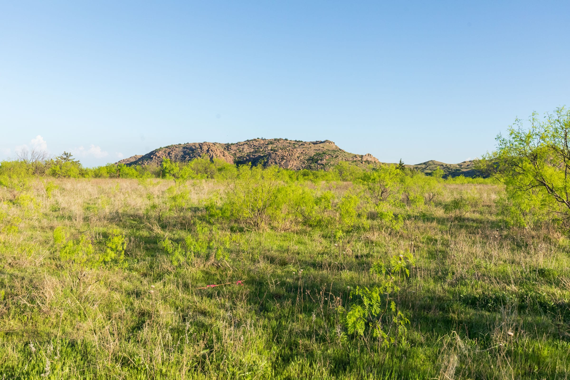 Hackberry Fields Tract 15 photo 22