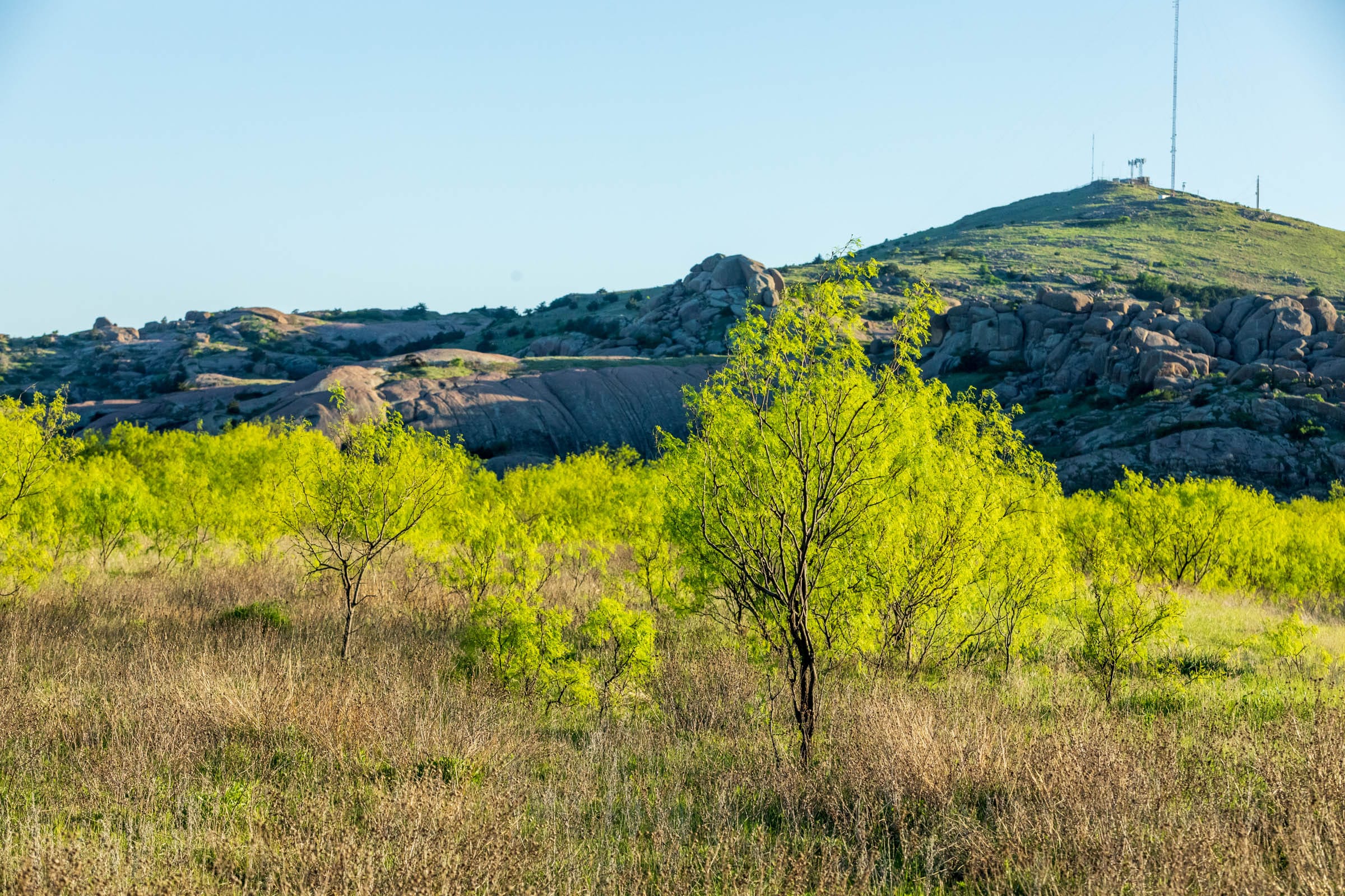 Hackberry Fields Tract 15 photo 24