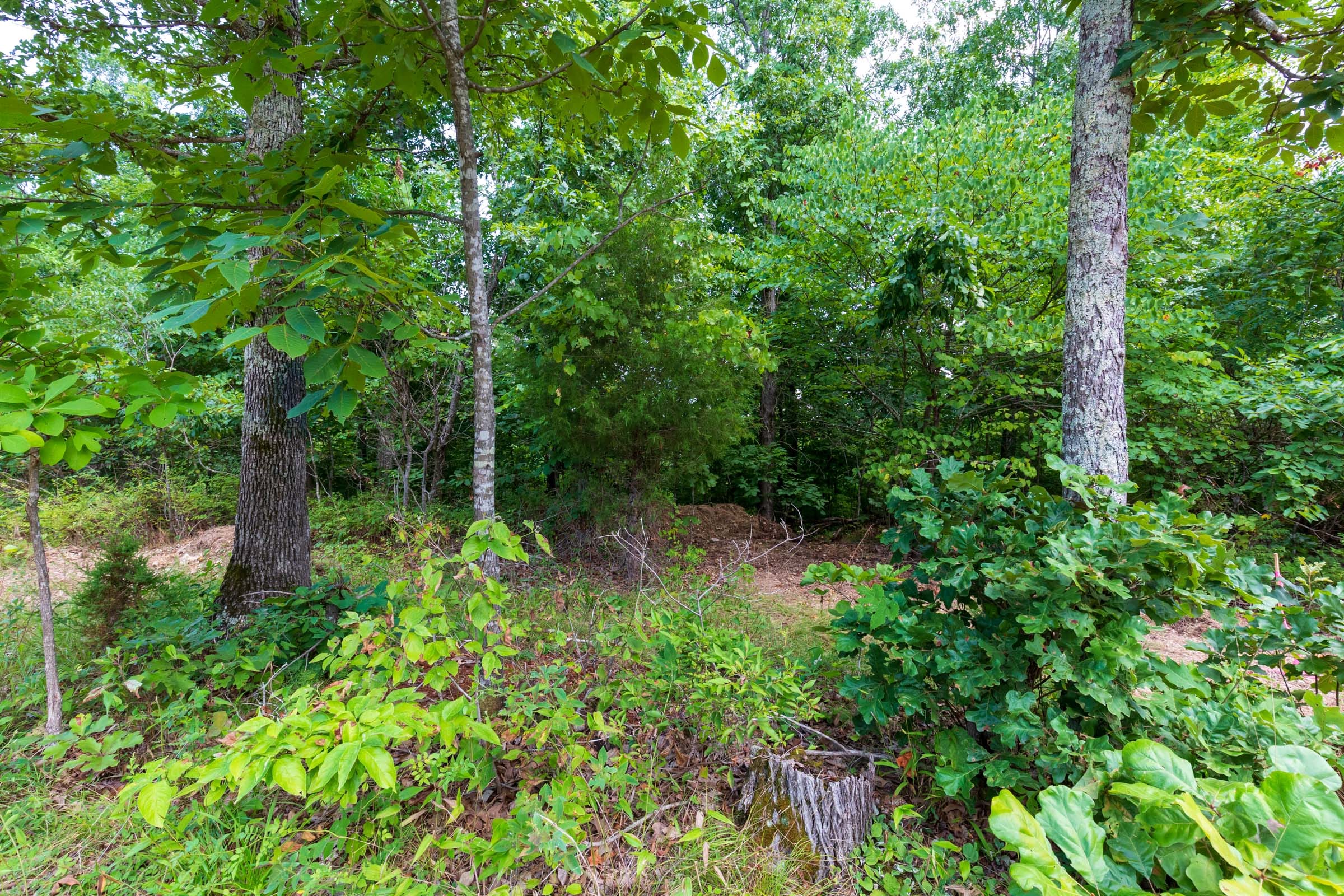 Cypress Ridge Tract 15 photo 2