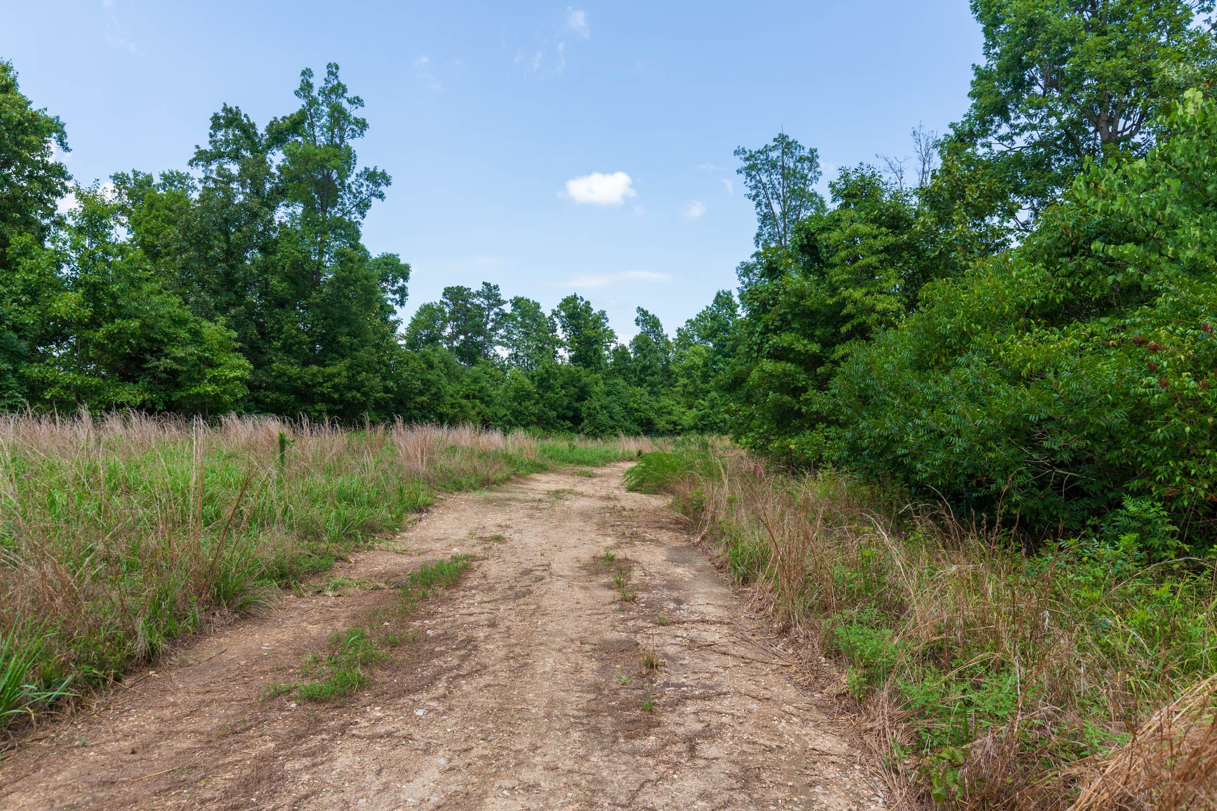 Cypress Ridge Tract 15 photo 1
