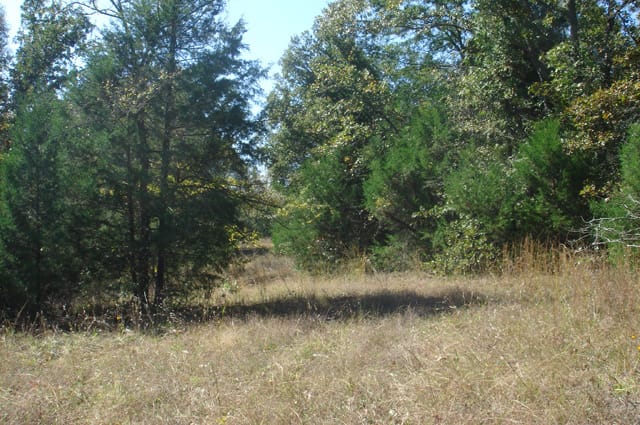 Hannubby Creek Tract 2 photo 4