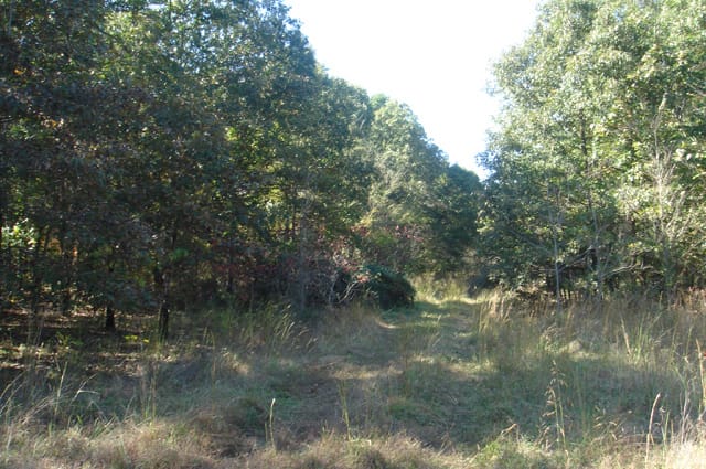 Hannubby Creek Tract 2 photo 6