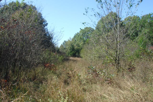 Hannubby Creek Tract 2 photo 9