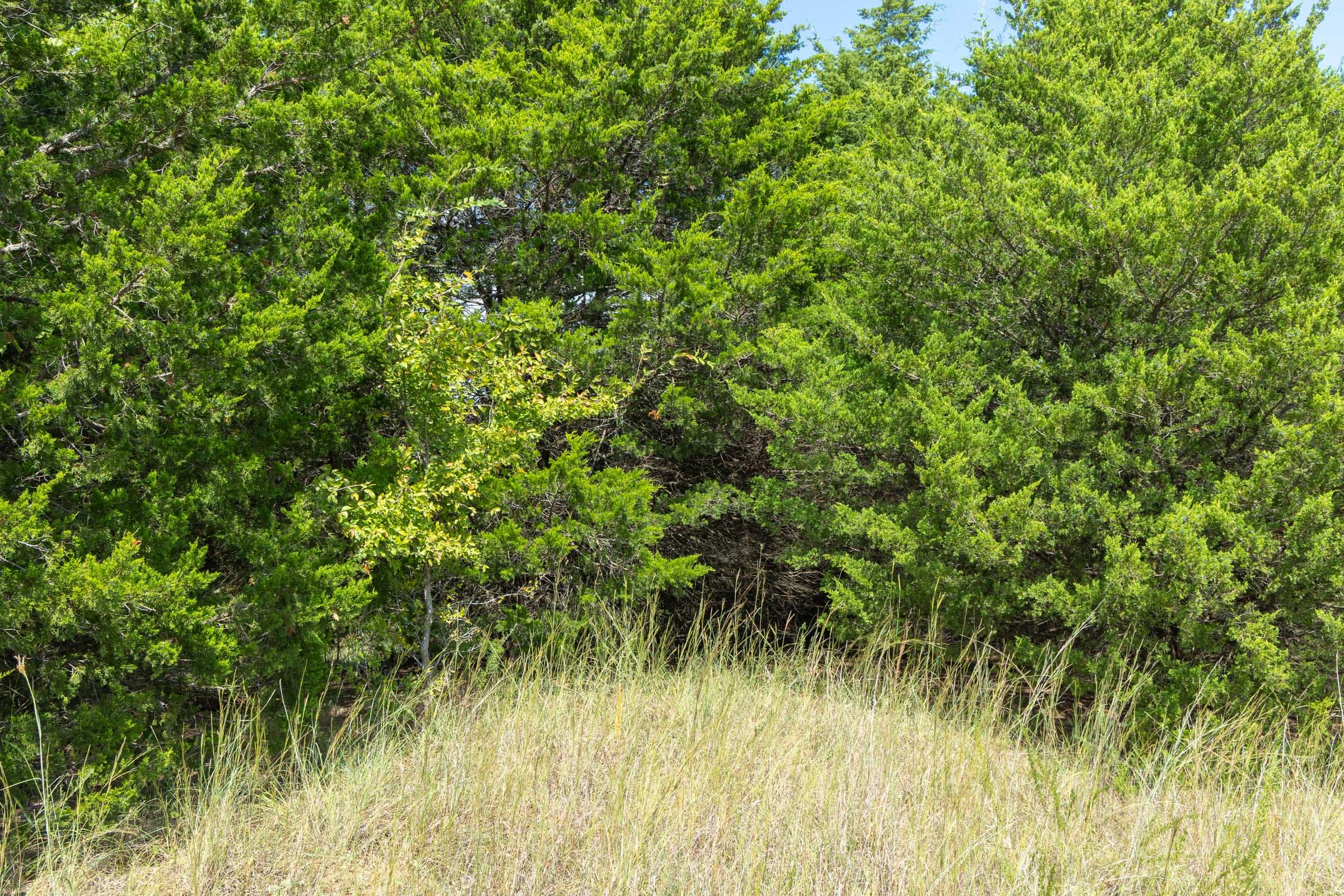 Reserves At Cattail Cove Phase II Tract 38 photo 7