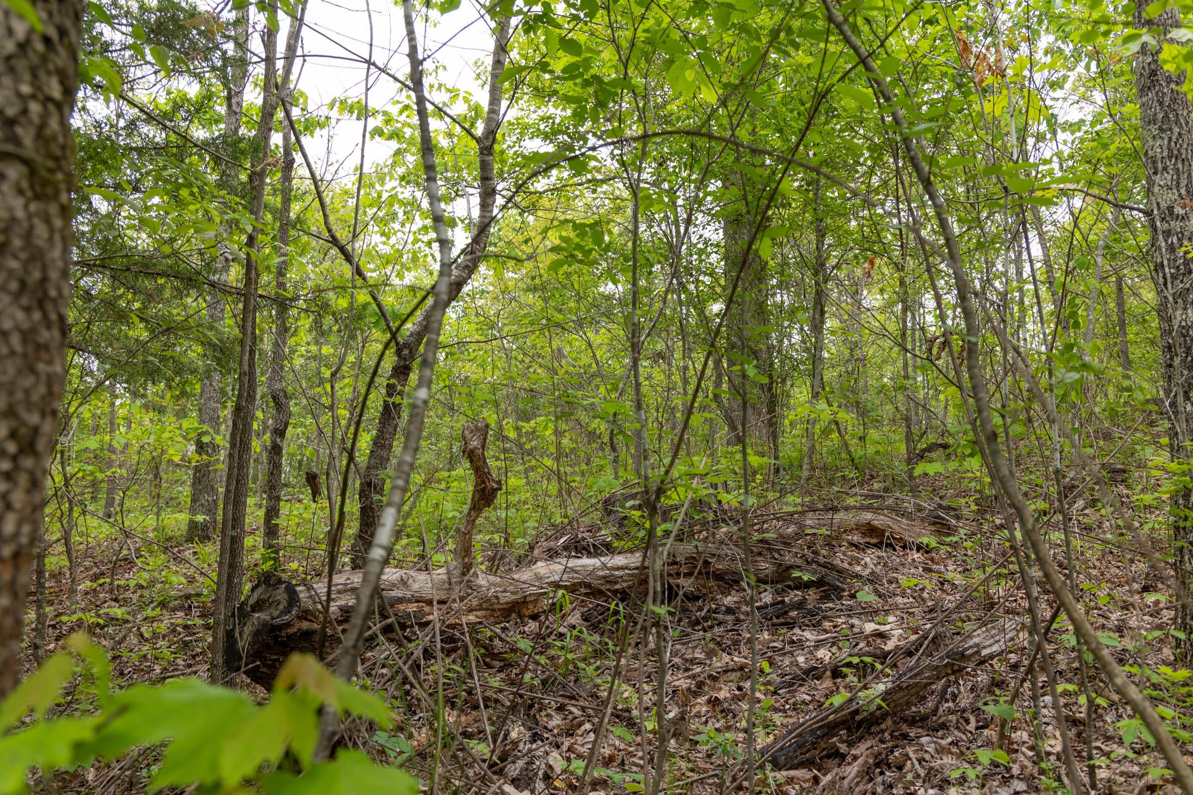 Sleepy Hollow Phase II Tract 108 photo 1