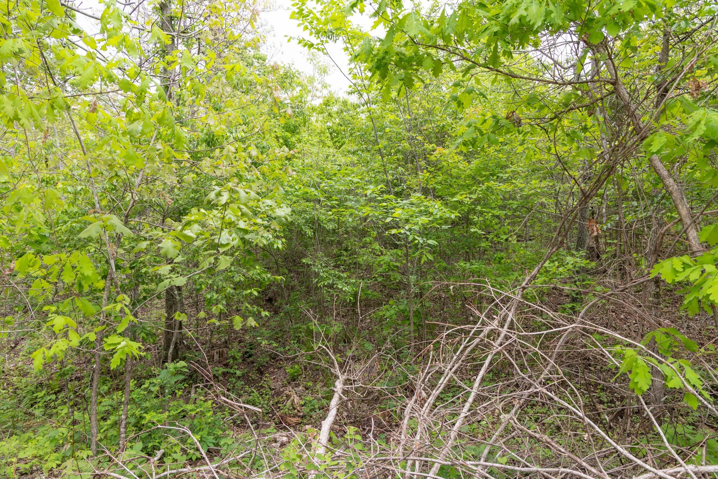 Sleepy Hollow Phase II Tract 108 photo 14