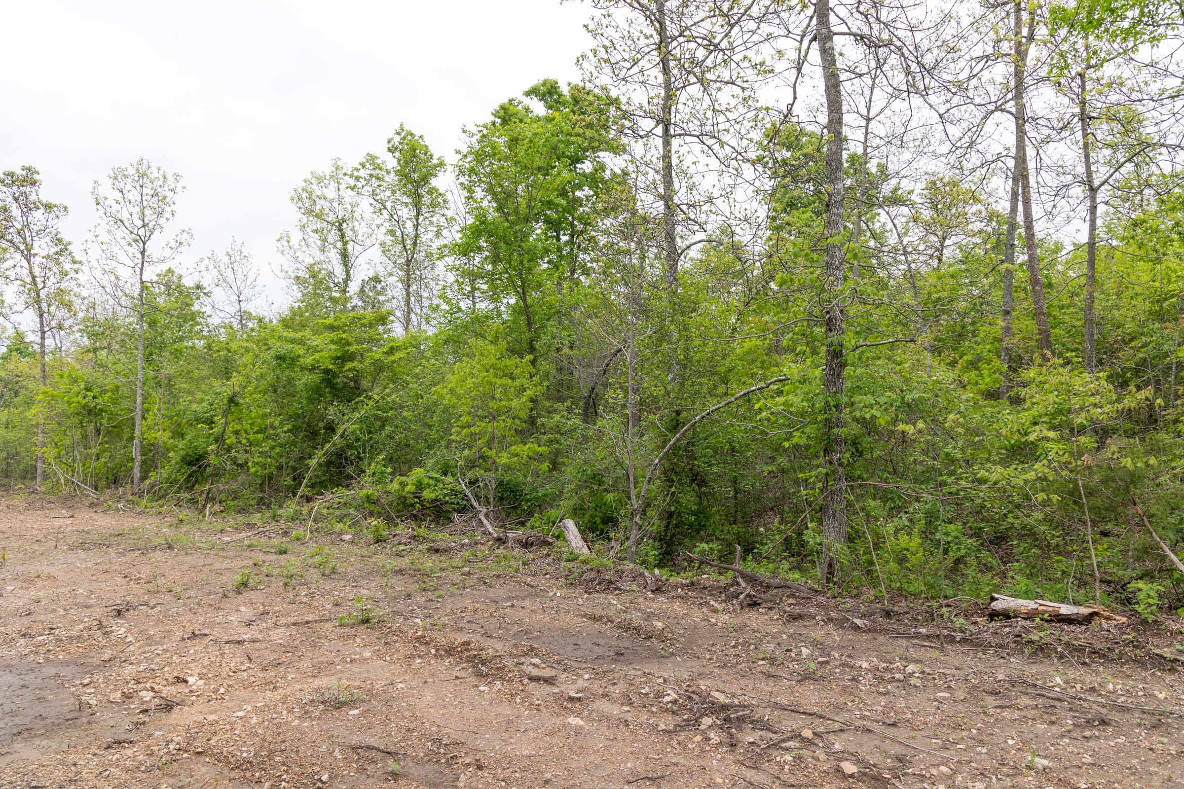 Sleepy Hollow Phase II Tract 108 photo 5
