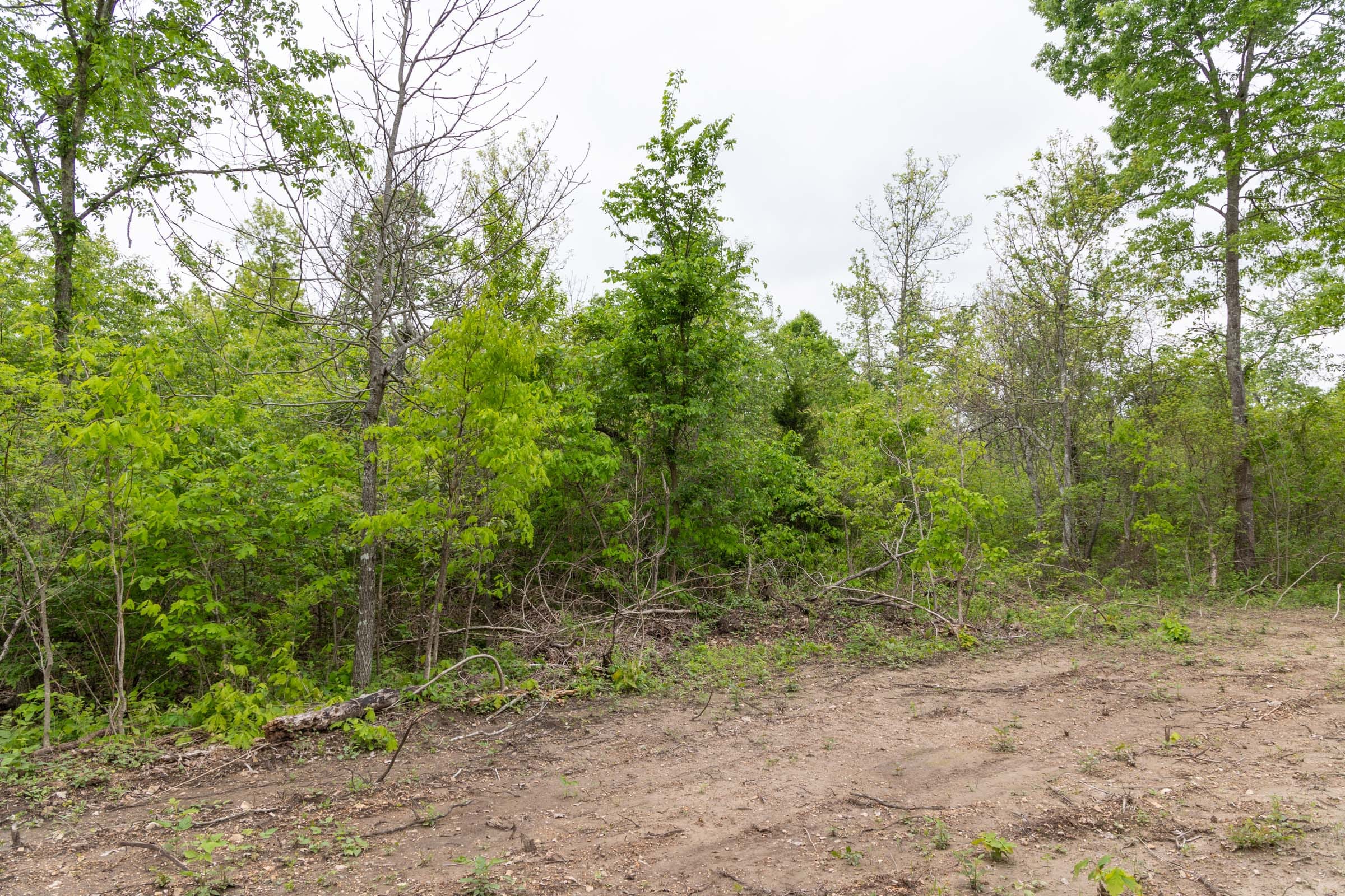 Sleepy Hollow Phase II Tract 108 photo 4