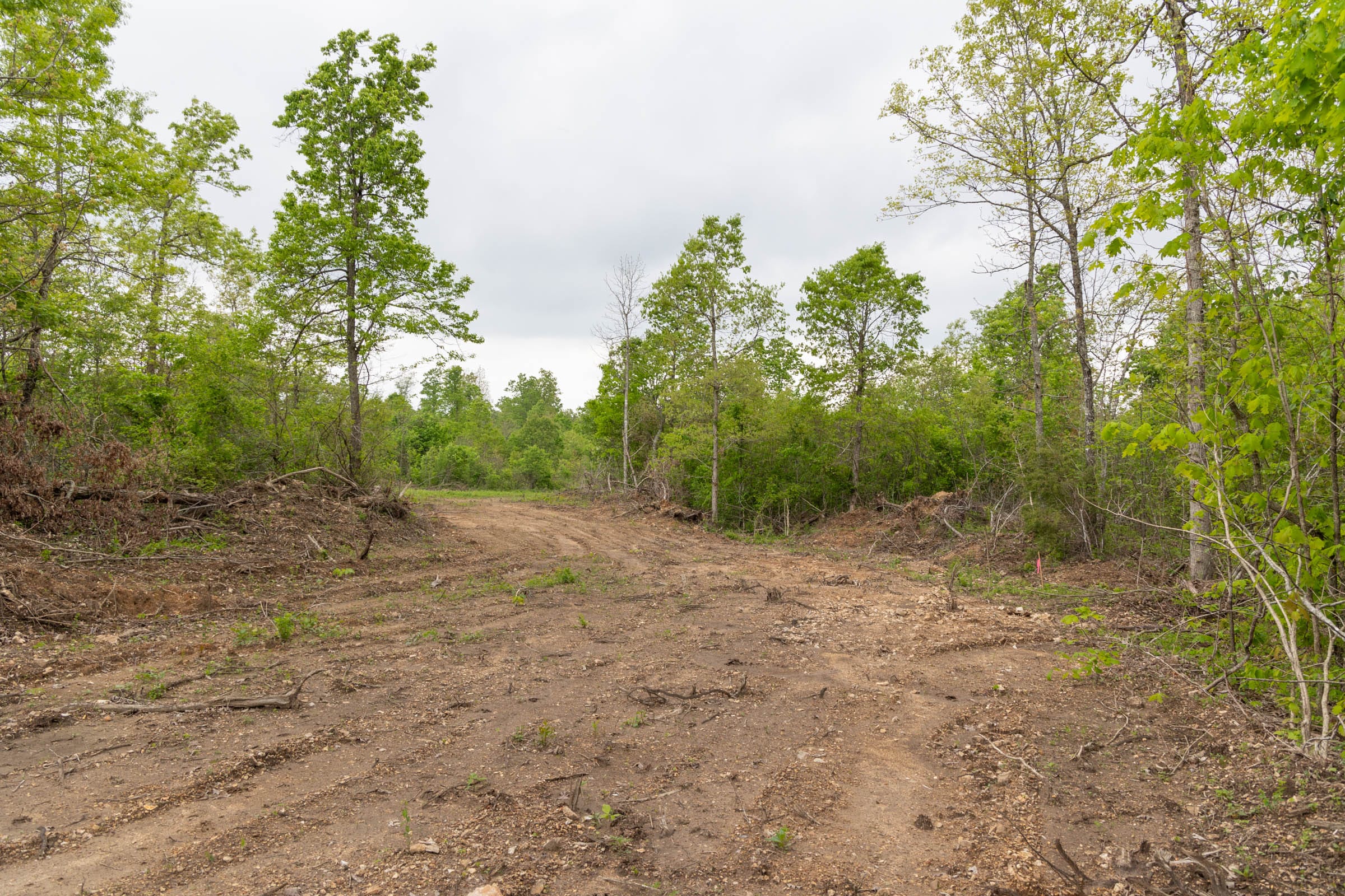 Sleepy Hollow Phase II Tract 108 photo 3