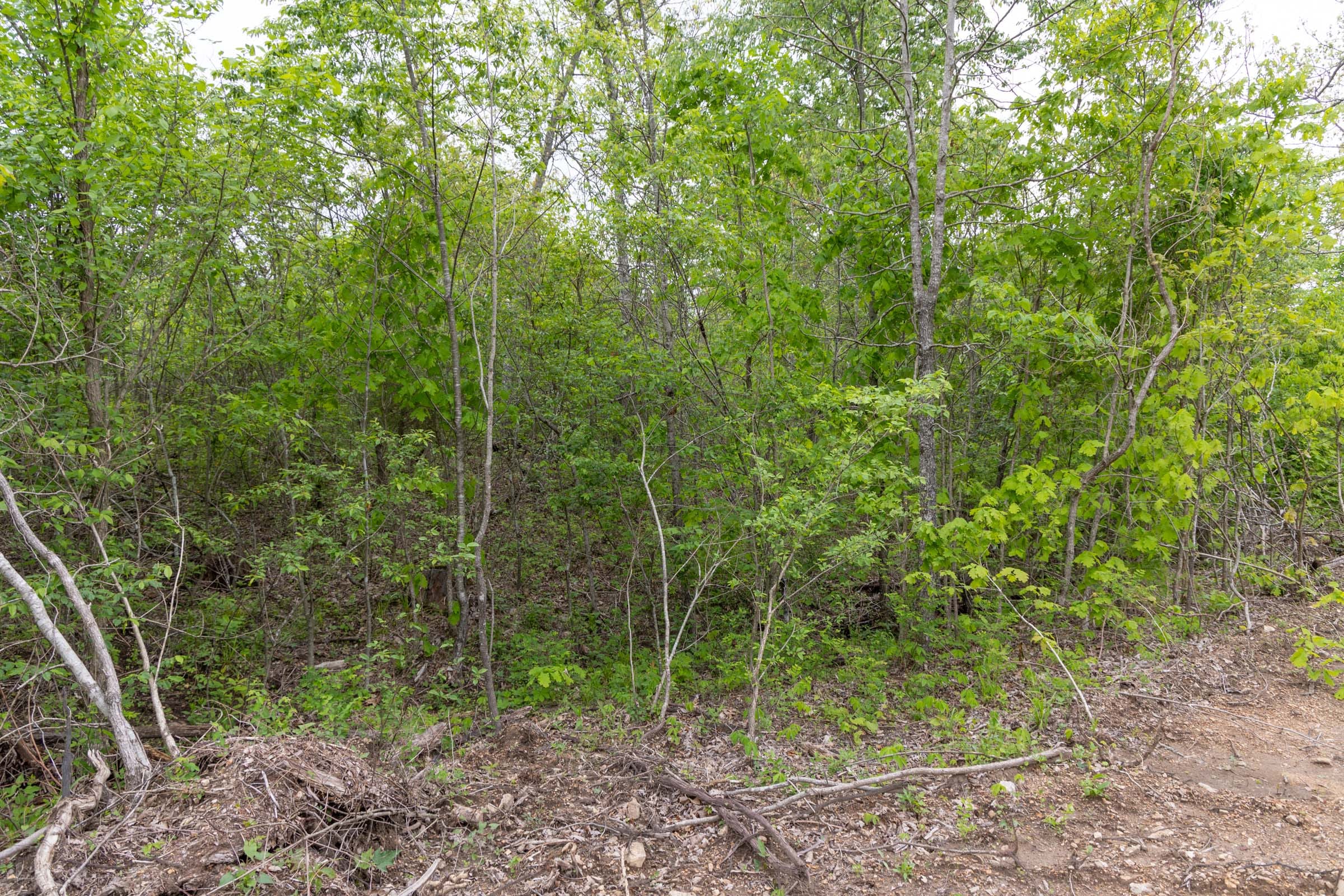 Sleepy Hollow Phase II Tract 108 photo 12