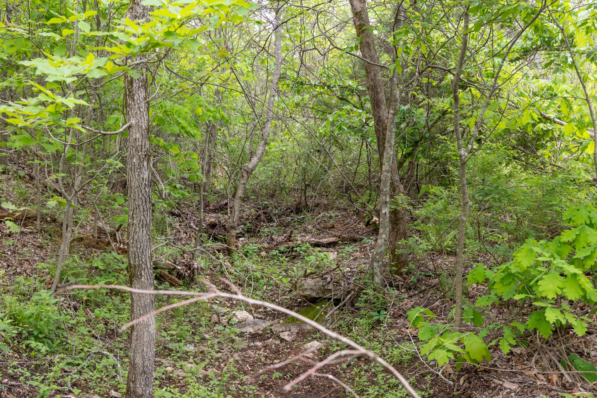 Sleepy Hollow Phase II Tract 108 photo 11