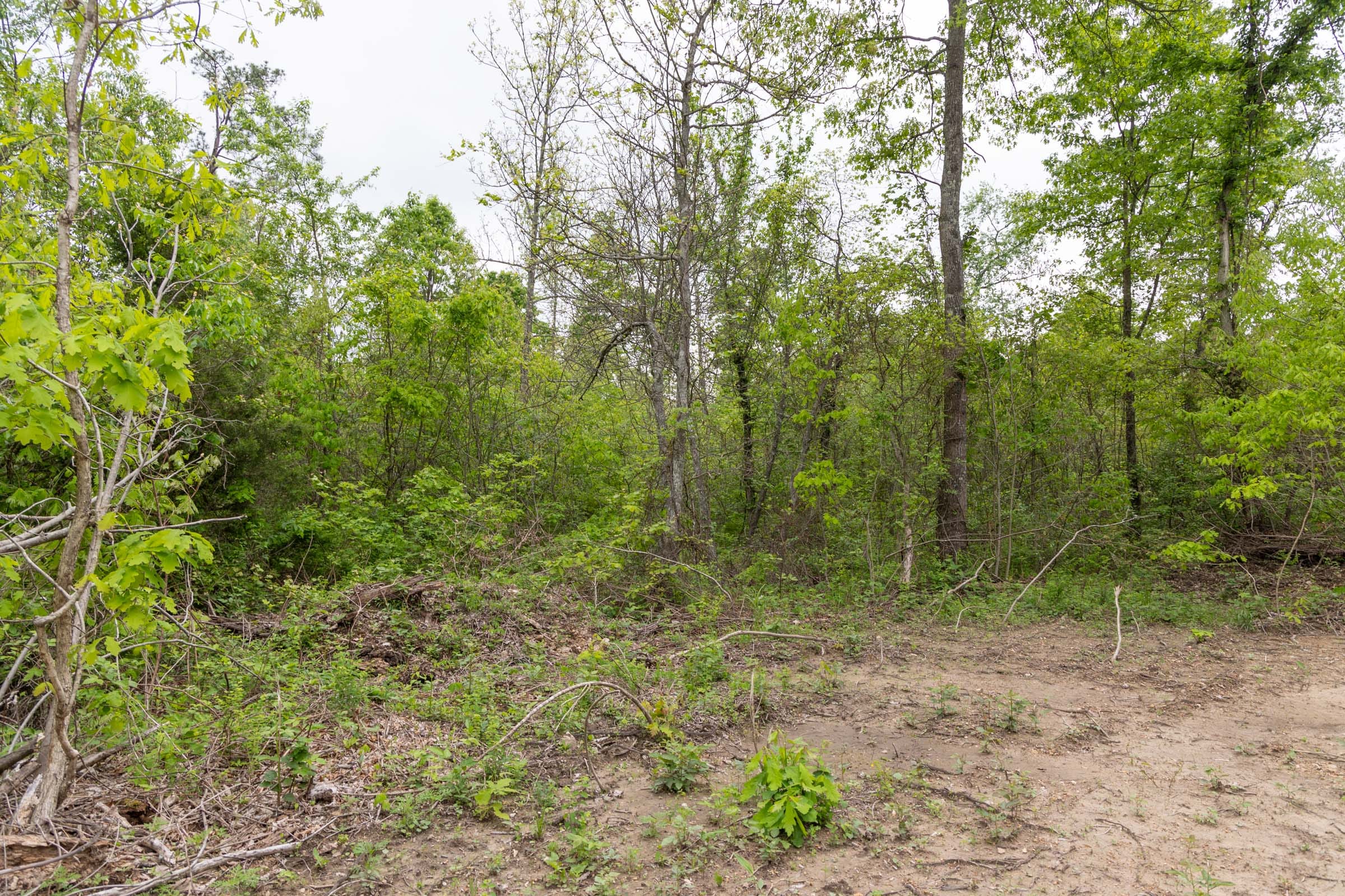 Sleepy Hollow Phase II Tract 108 photo 10