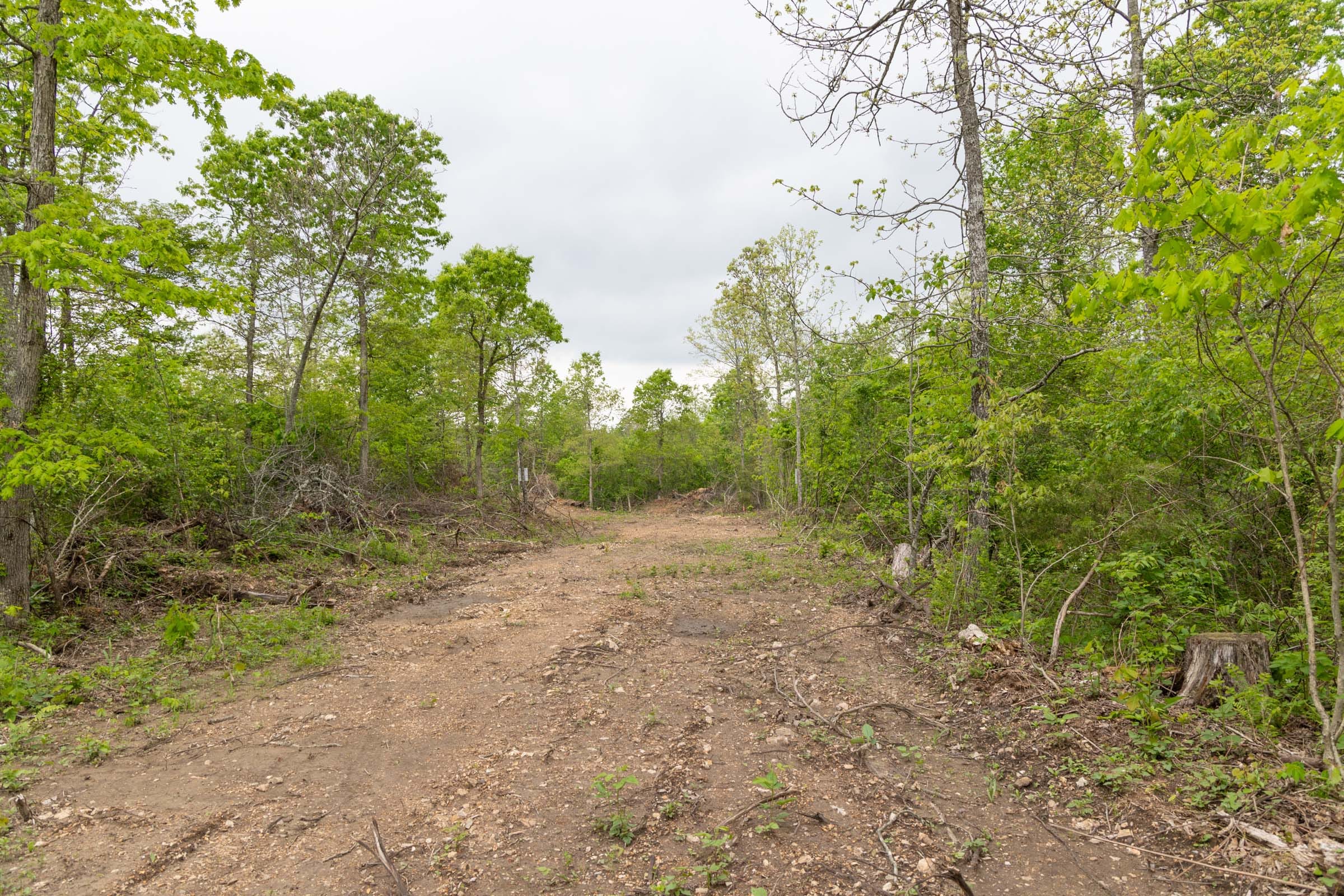 Sleepy Hollow Phase II Tract 108 photo 2