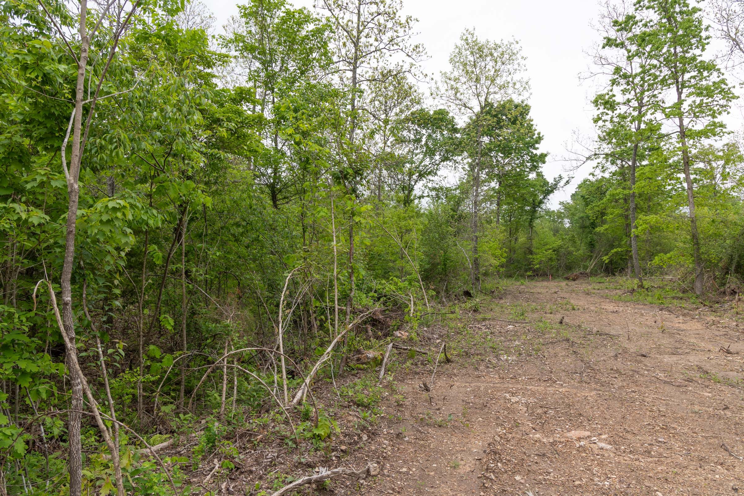 Sleepy Hollow Phase II Tract 108 photo 8