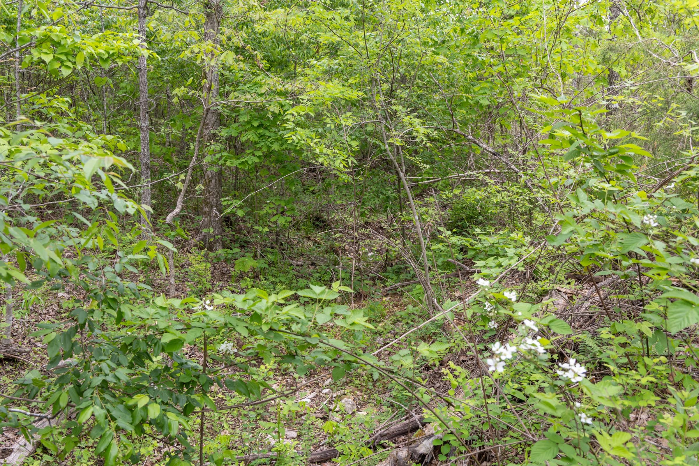 Sleepy Hollow Phase II Tract 108 photo 9