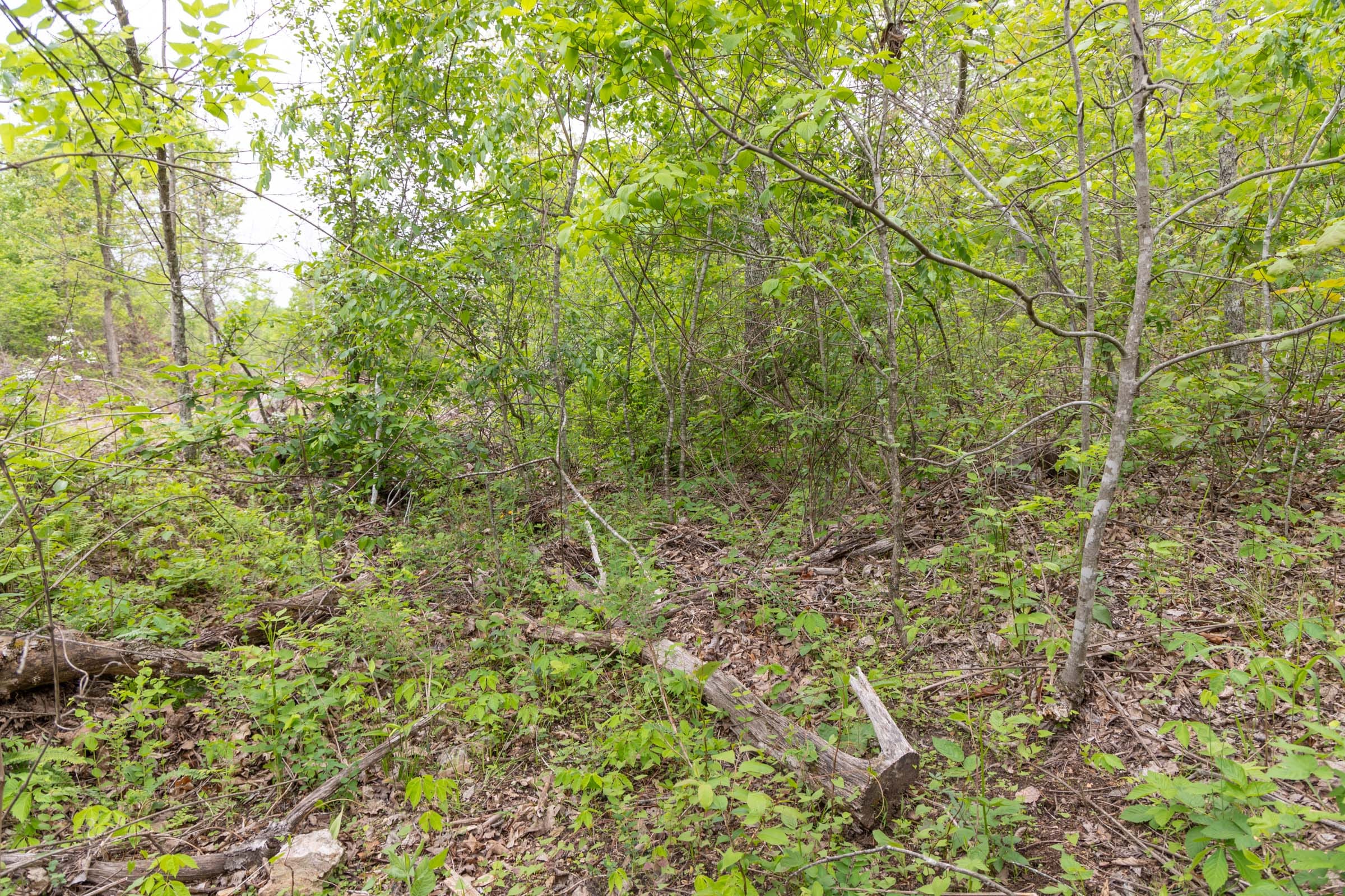 Sleepy Hollow Phase II Tract 108 photo 7