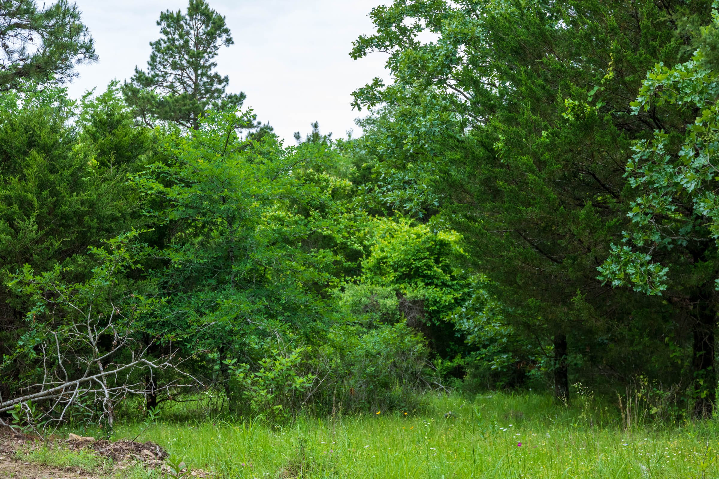 Falcon Crest Tract 17 photo 3