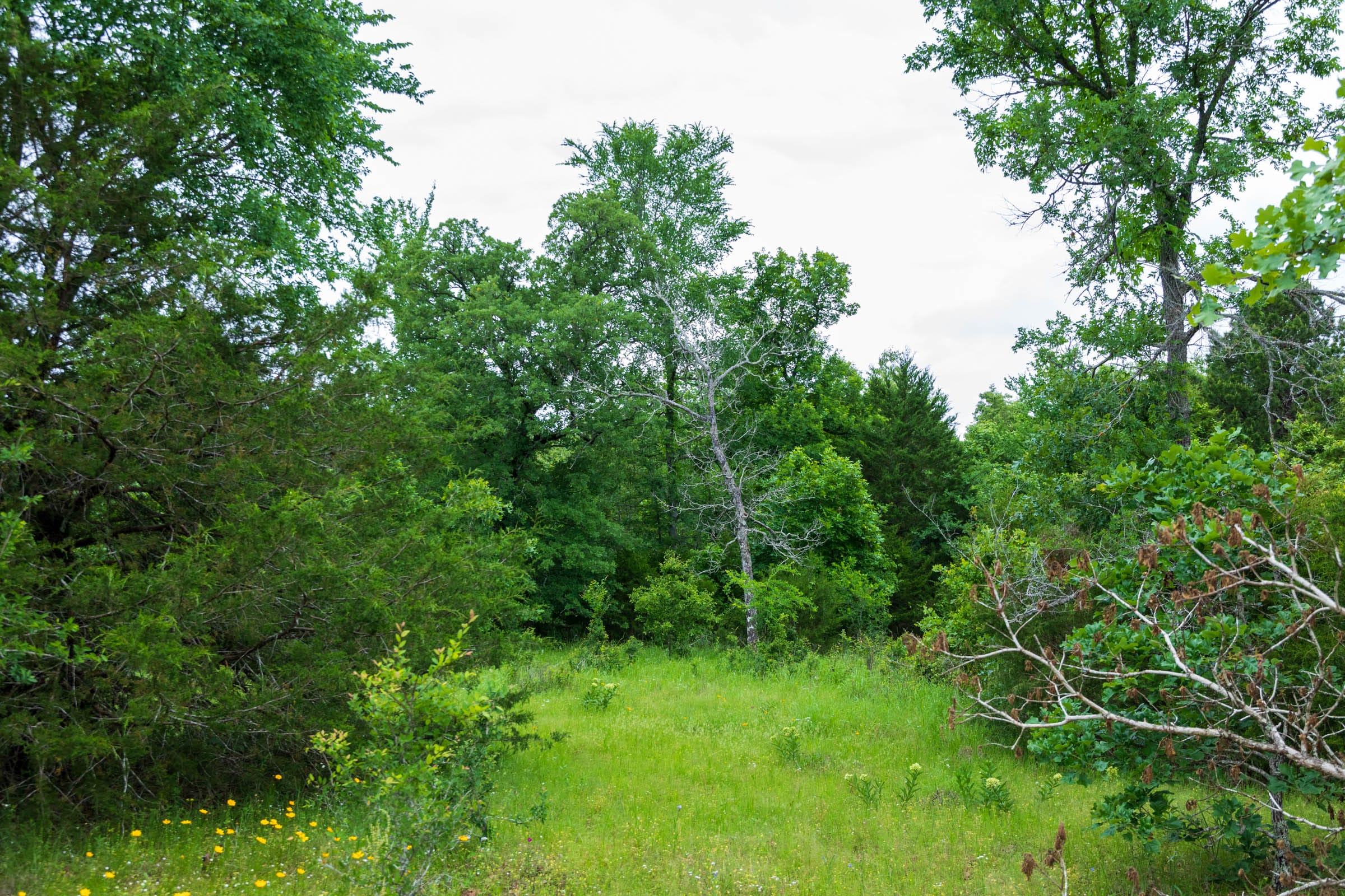 Falcon Crest Tract 17 photo 7