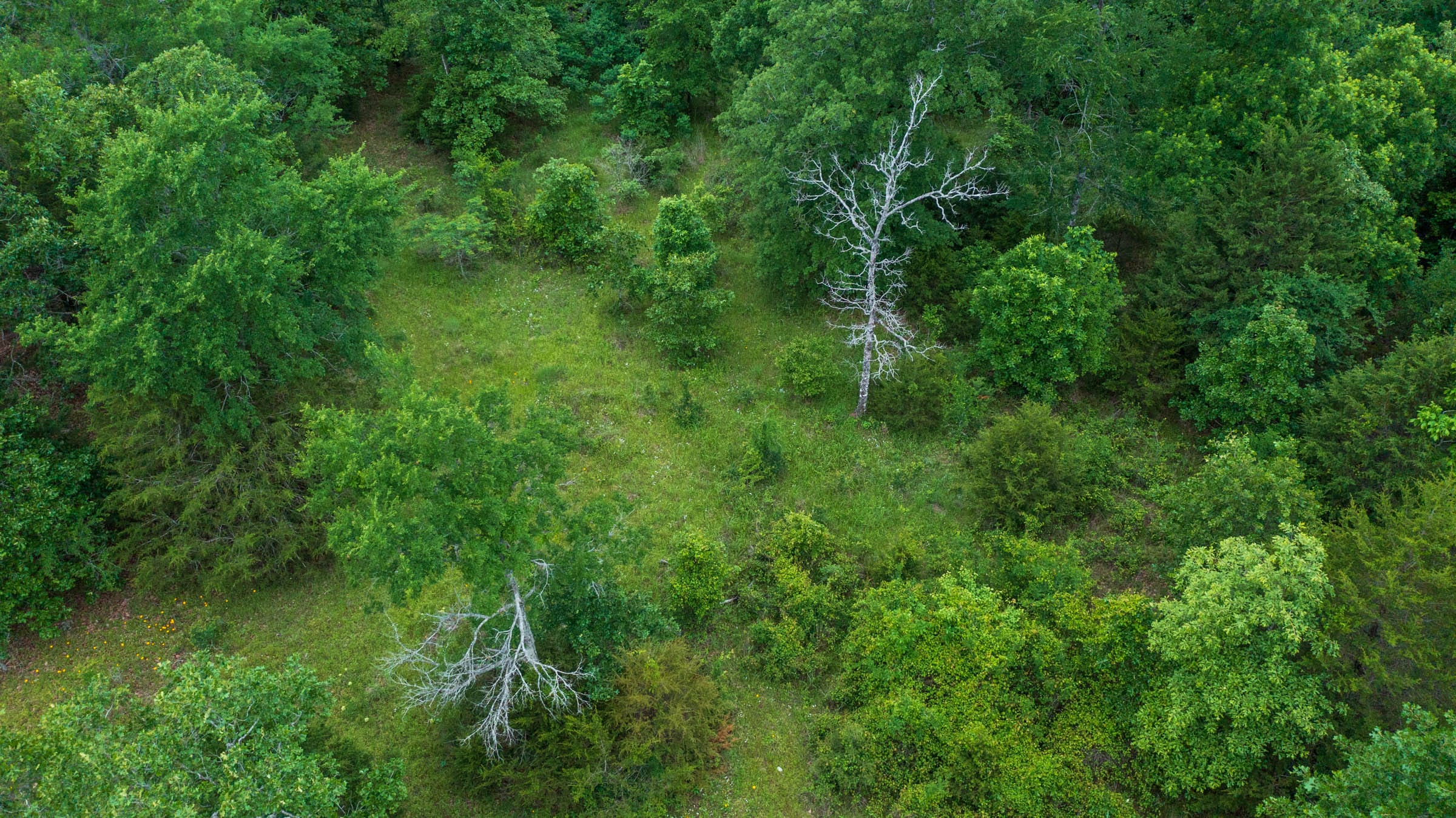 Falcon Crest Tract 17 photo 10
