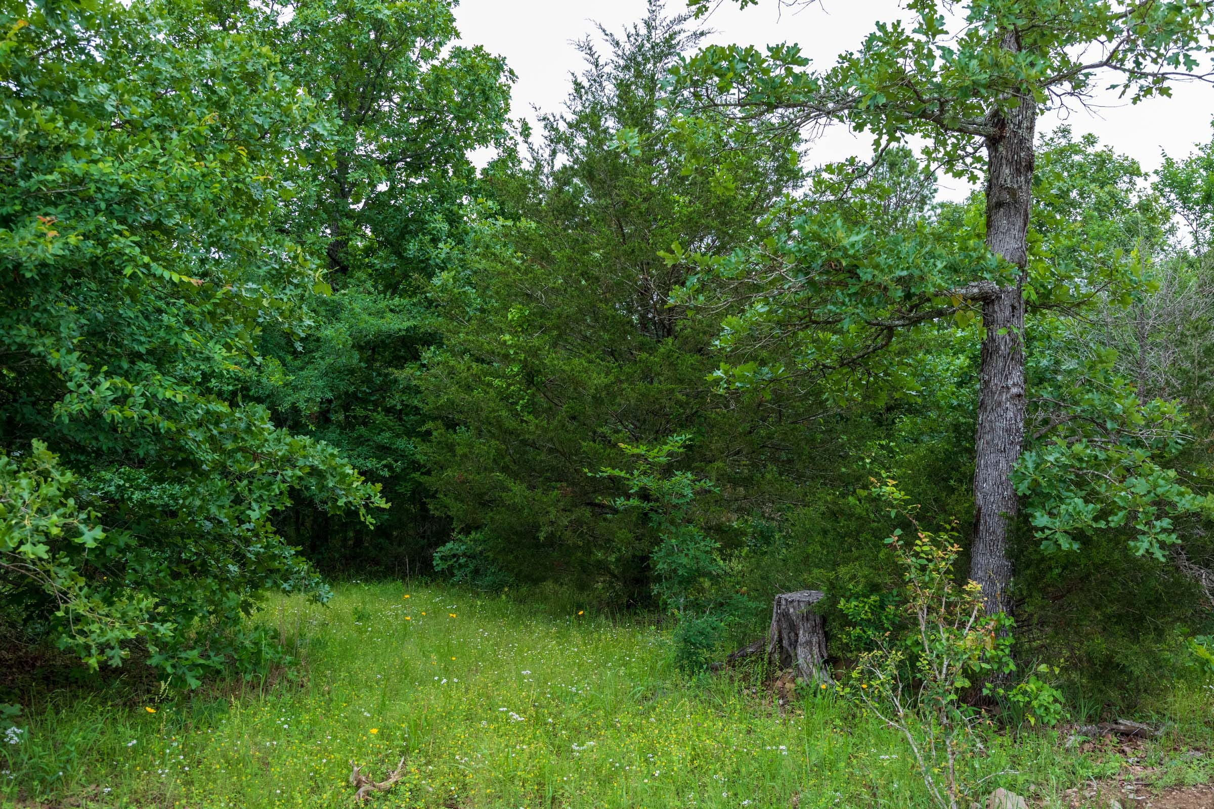 Falcon Crest Tract 17 photo 12