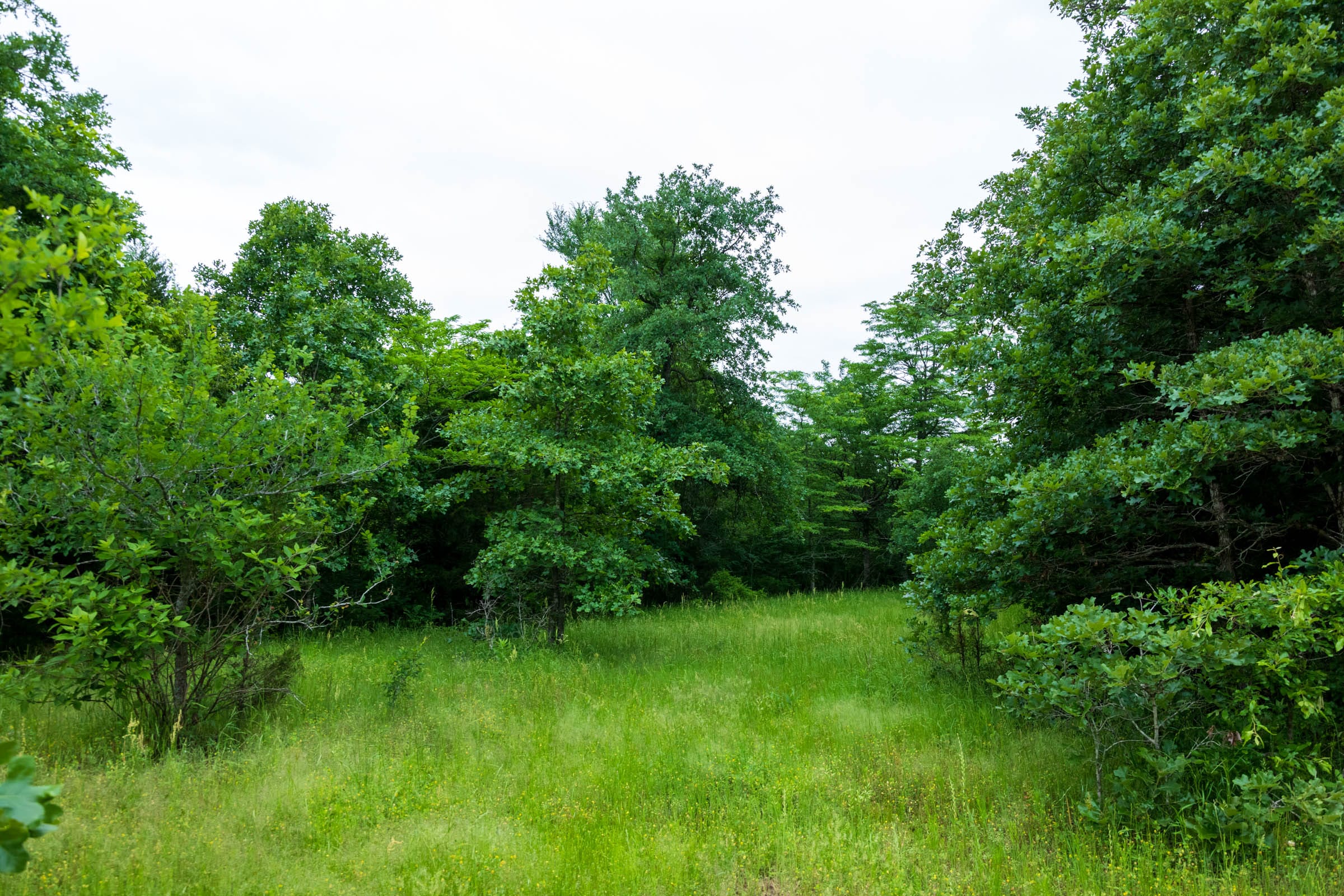 Falcon Crest Tract 17 photo 15