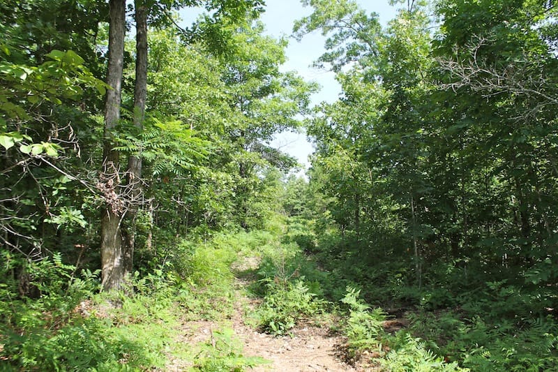 Green Mountain Ranch Tract 21 photo 1
