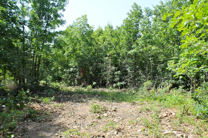 Green Mountain Ranch Tract 21 photo 4