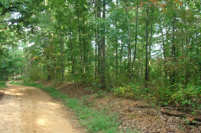 Sugartree Falls Tract 6 photo 1