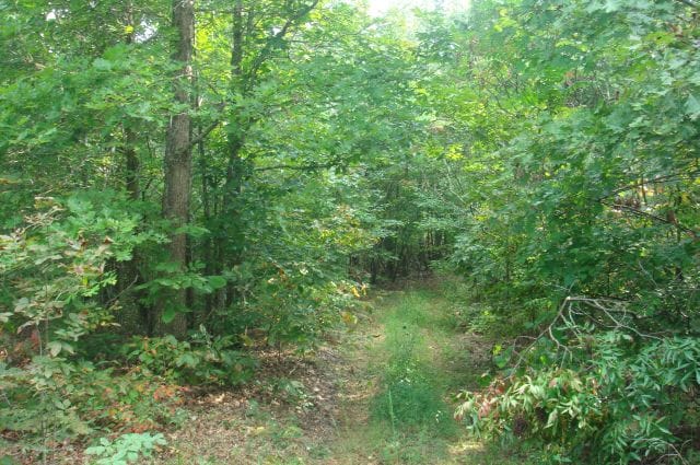 Sugartree Falls Tract 6 photo 2