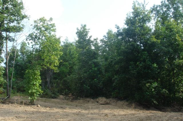 Sugartree Falls Tract 6 photo 3