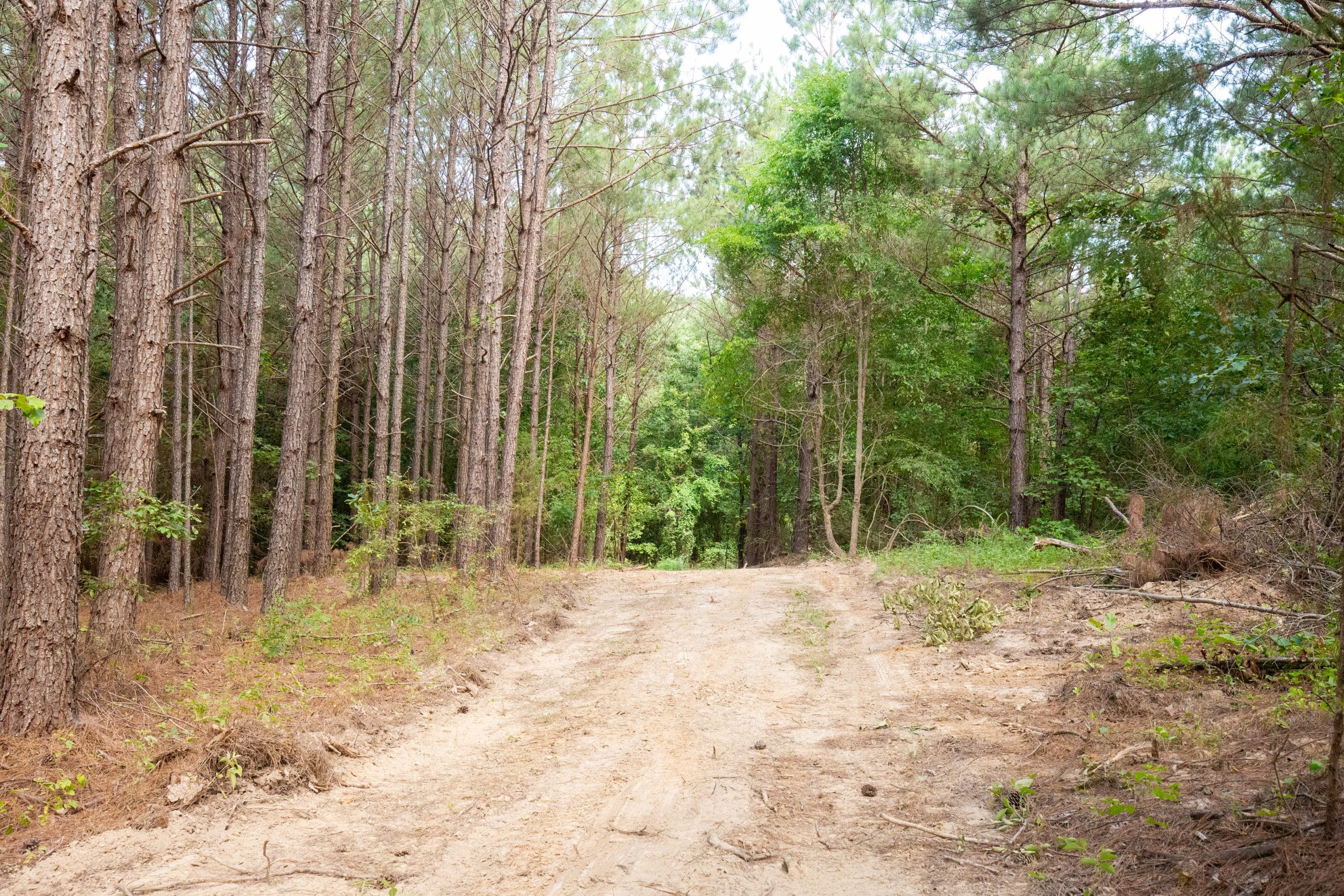 Whiskey Ridge Tract 79 photo 3