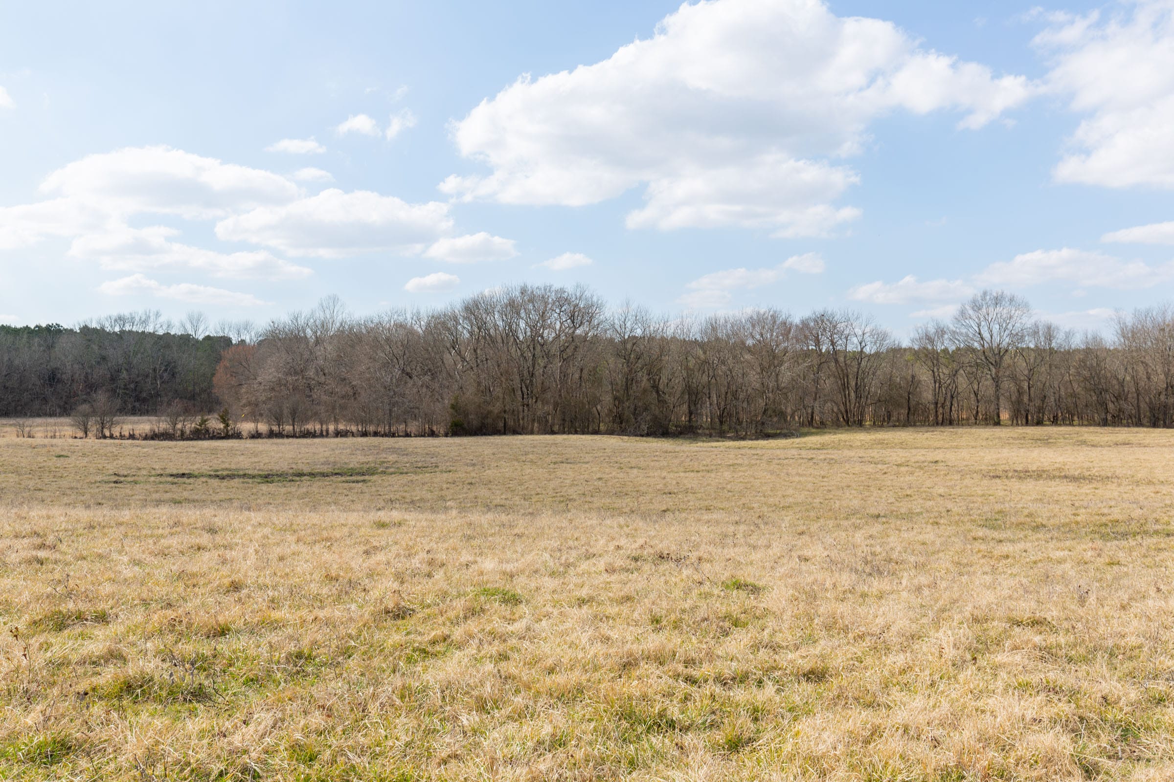 Wishing Star Ranch Tract 37 photo 8