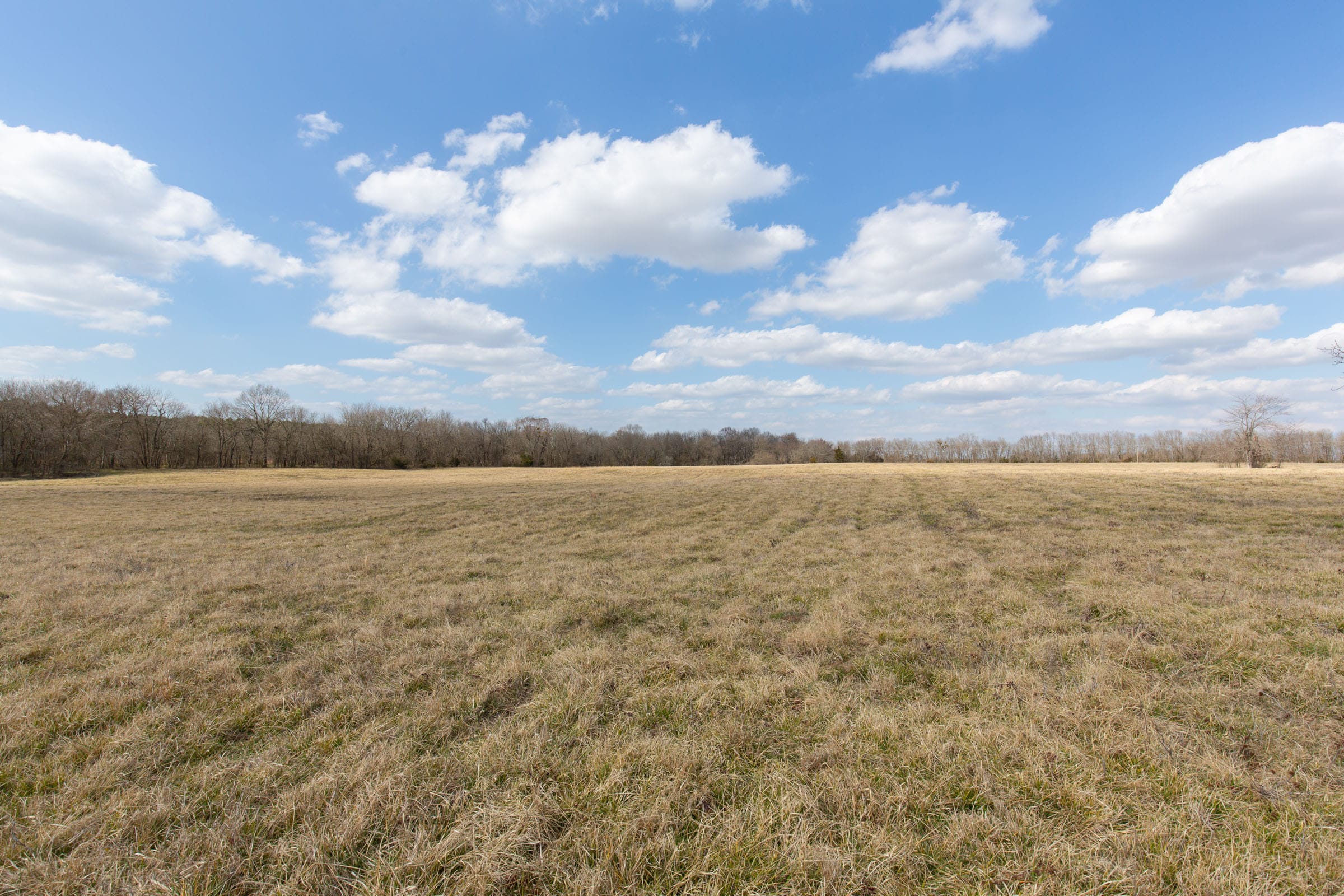 Wishing Star Ranch Tract 37 photo 4