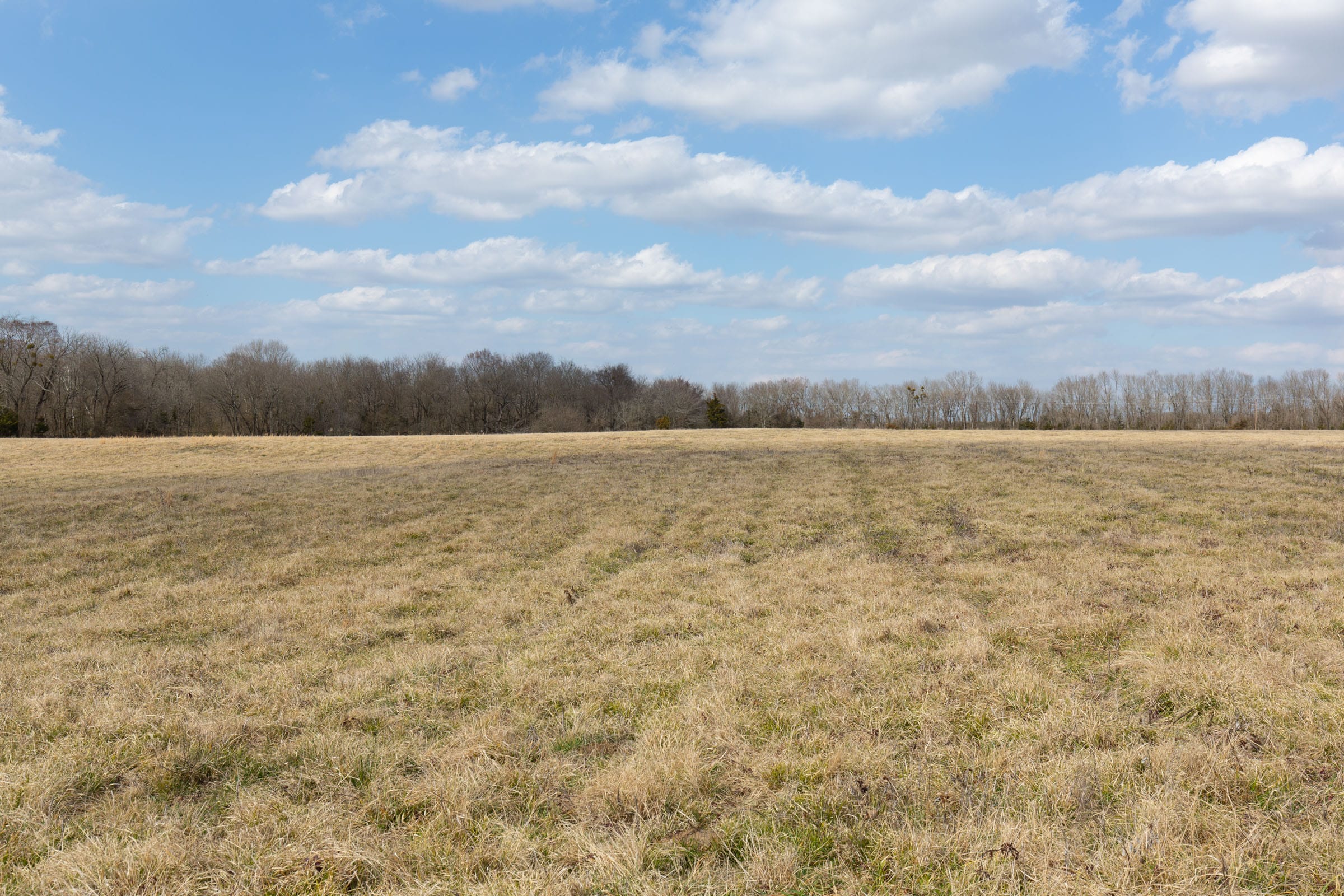 Wishing Star Ranch Tract 37 photo 10