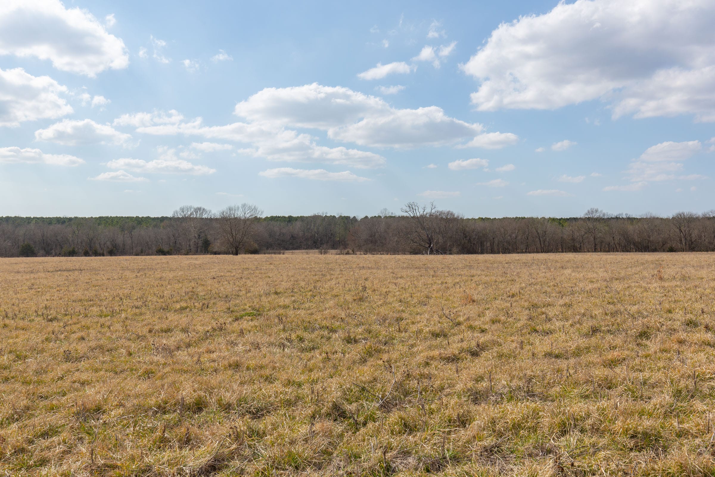 Wishing Star Ranch Tract 37 photo 7