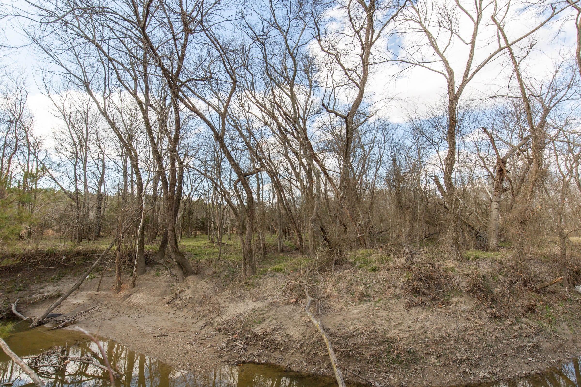 Wishing Star Ranch Tract 37 photo 12