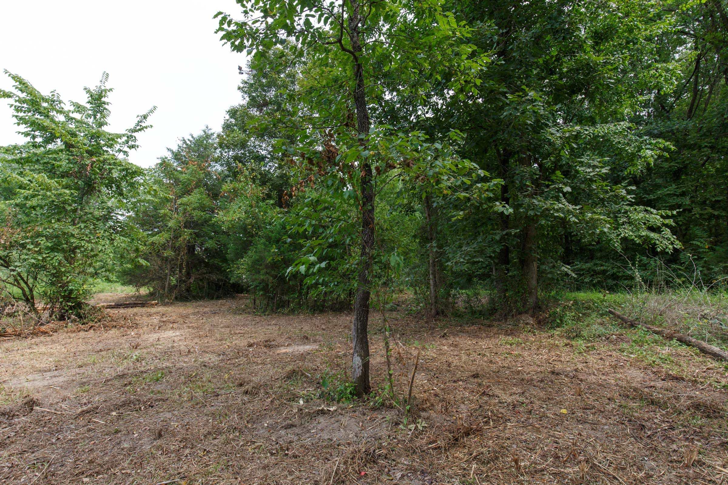 Spring Lake Plat 5 Tract 245 photo 5