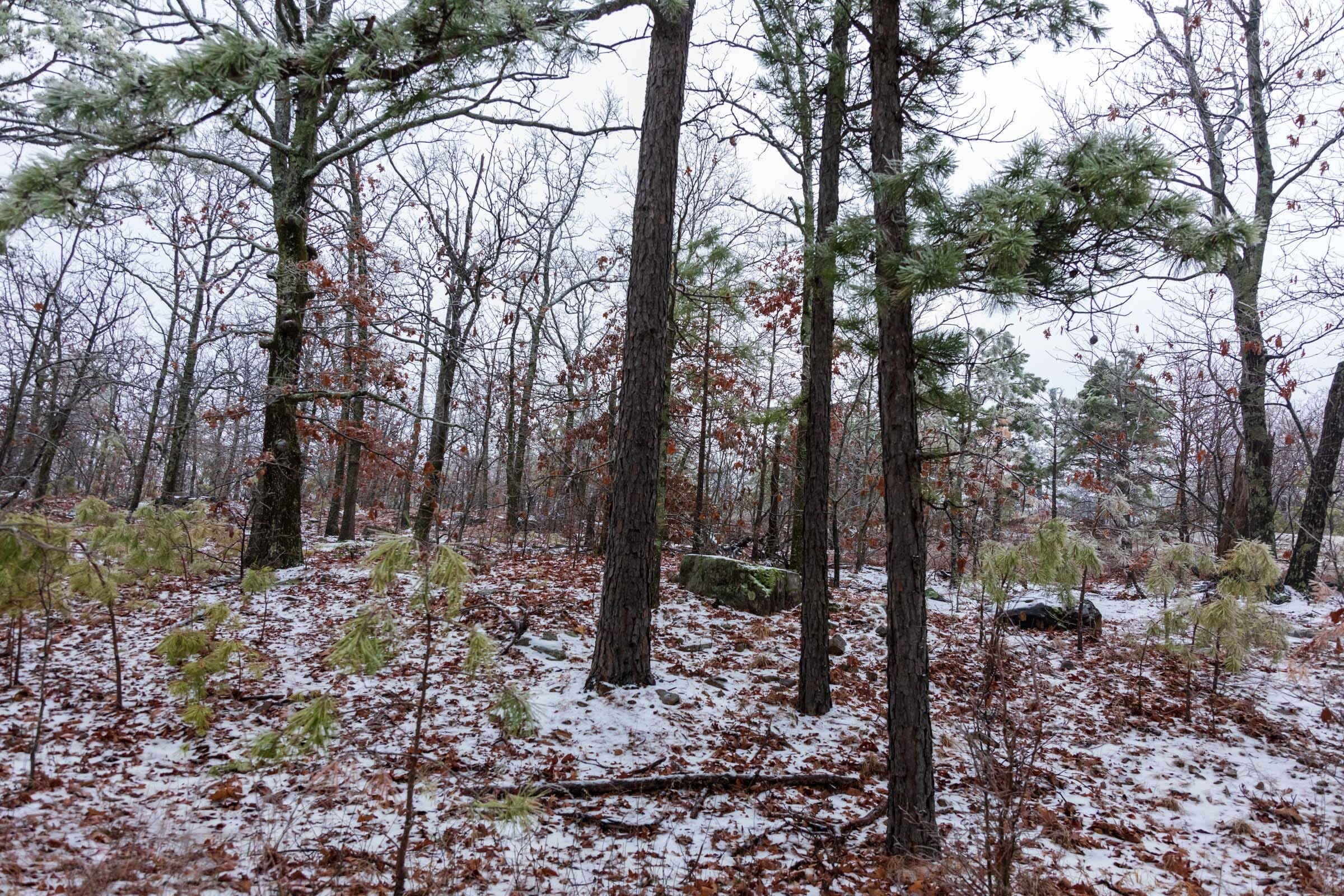 Stone Bridge Phase IV Tract 318 photo 15