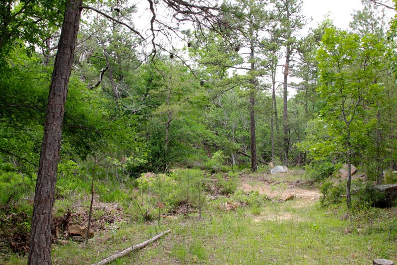 Trophy Ridge Phase II Tract 70 photo 3