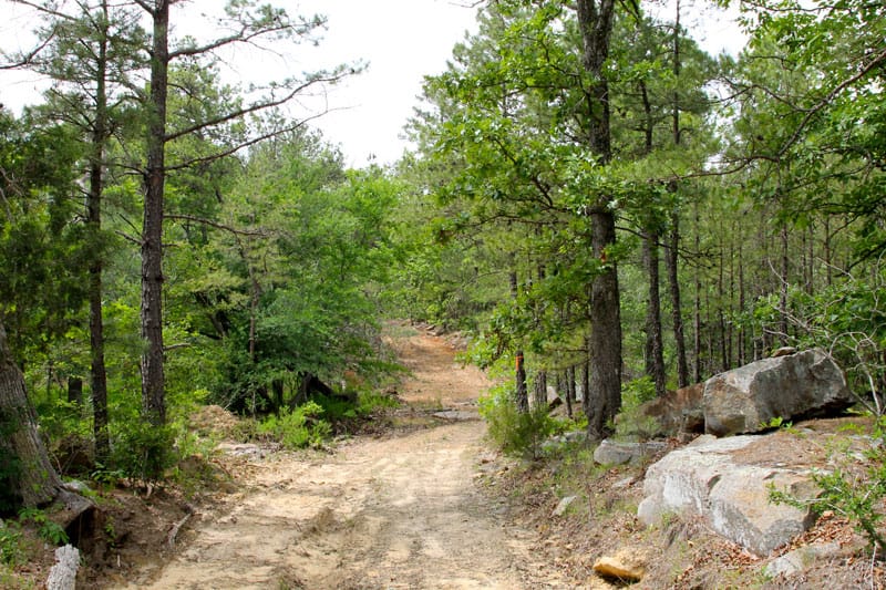 Trophy Ridge Phase II Tract 70 photo 1
