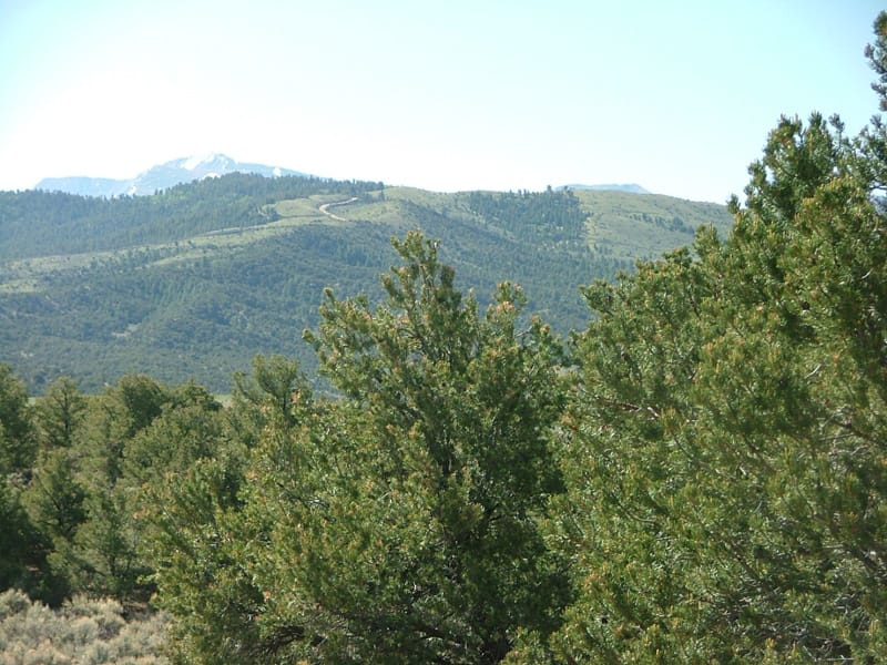 Eagle Ridge Ranch Tract 74 photo 4