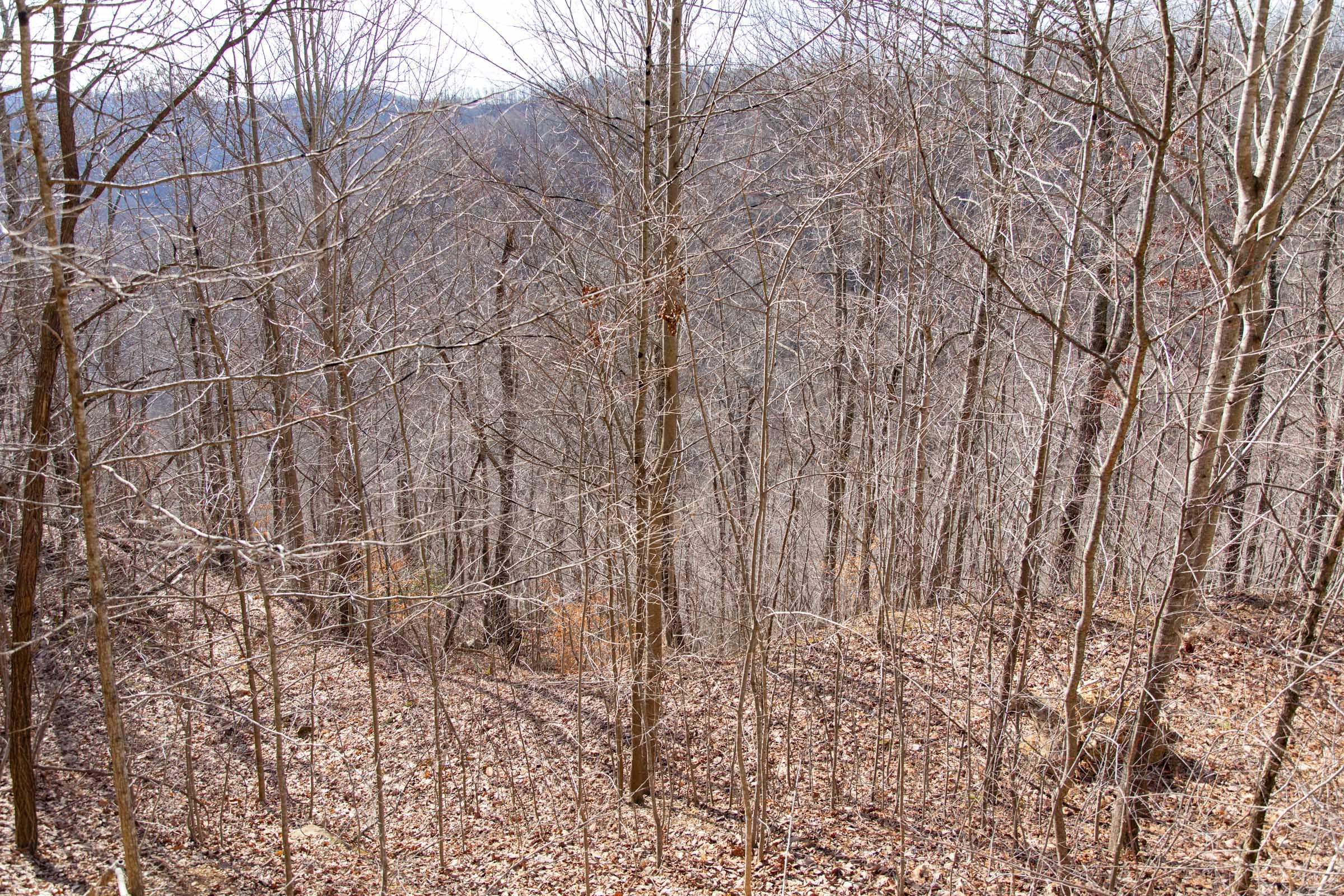 Blackstone Mountain Phase I Tract 36 photo 6