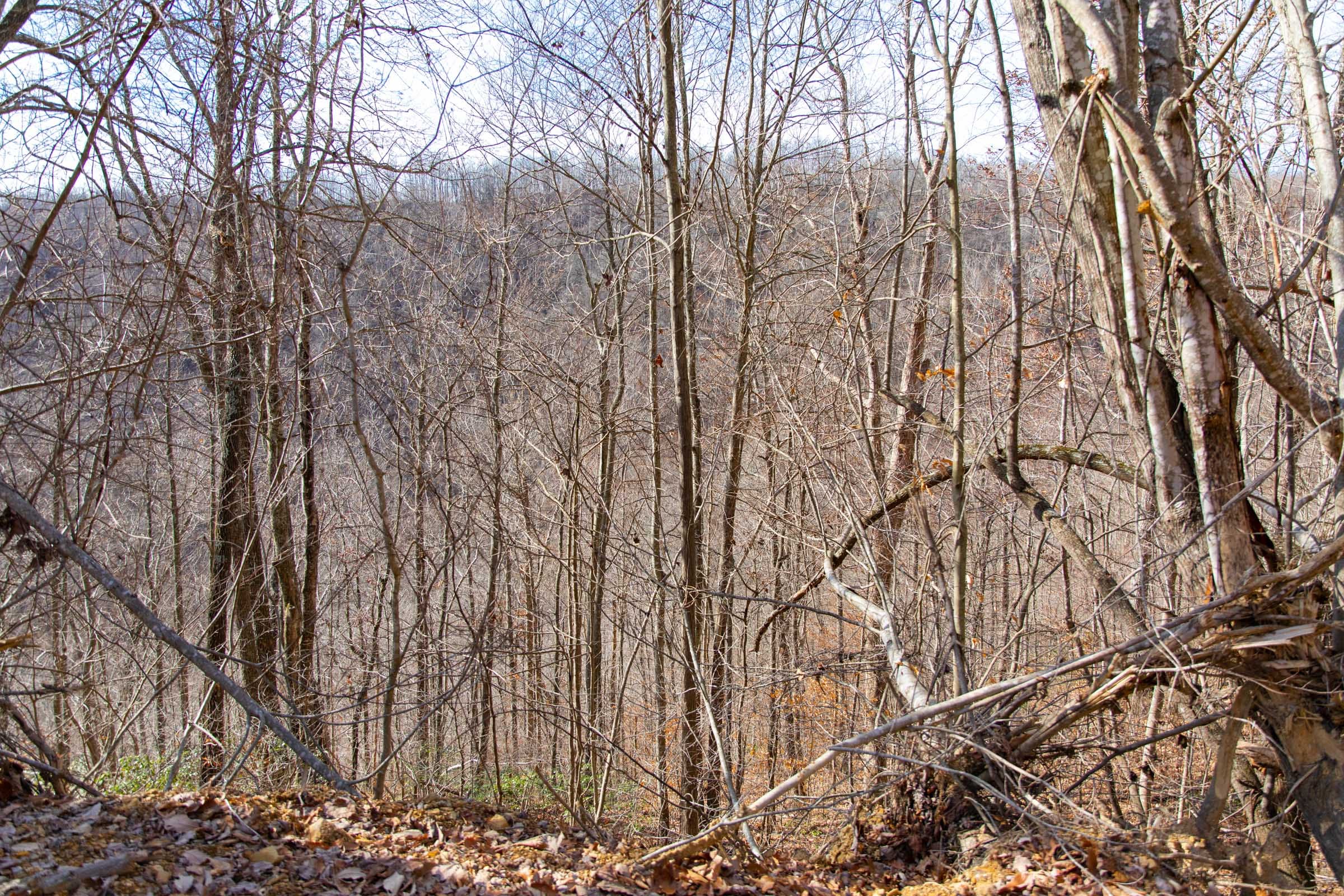 Blackstone Mountain Phase I Tract 36 photo 7