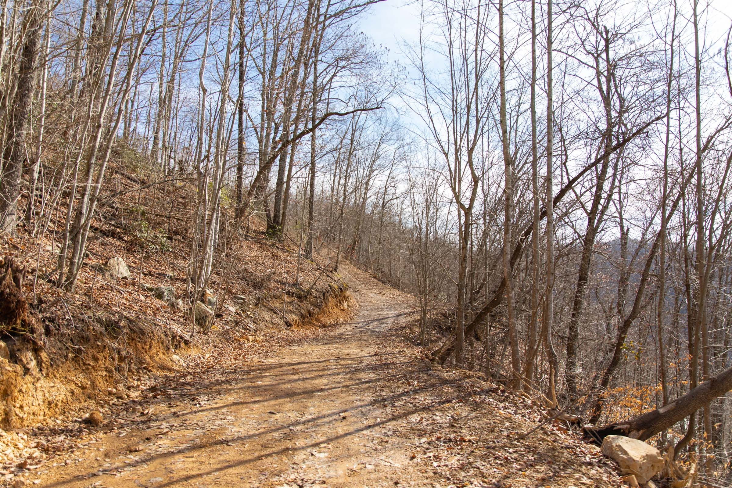 Blackstone Mountain Phase I Tract 36 photo 9