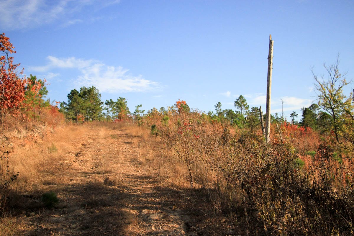 Stone Creek Phase III Tract 22 photo 2