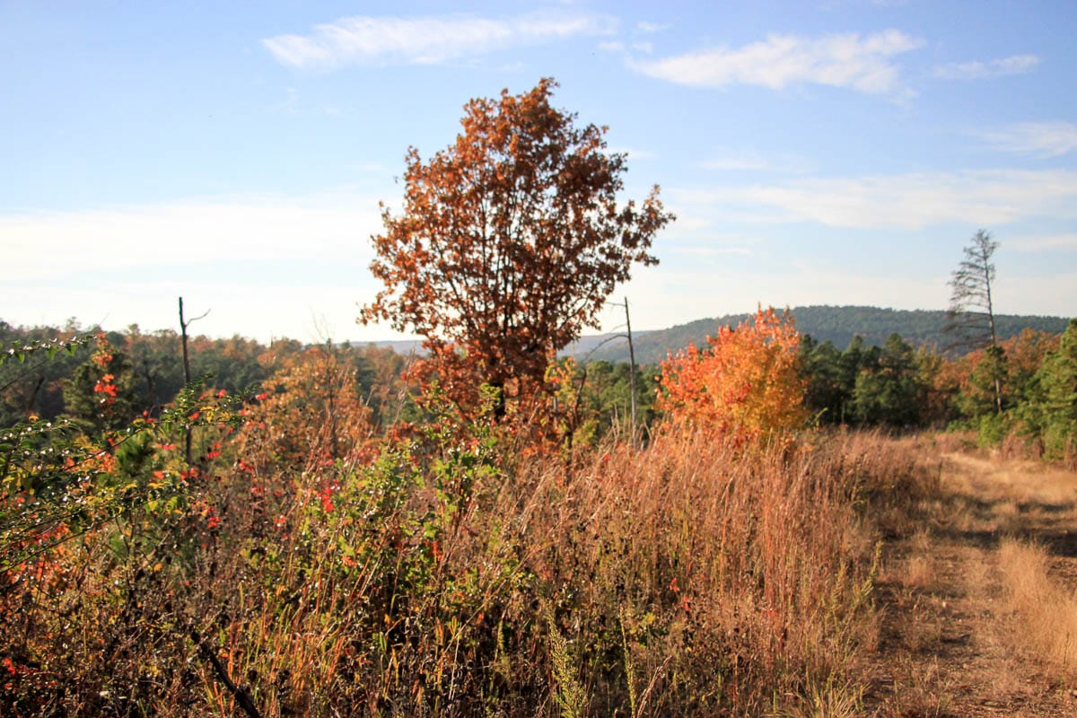 Stone Creek Phase III Tract 22 photo 4